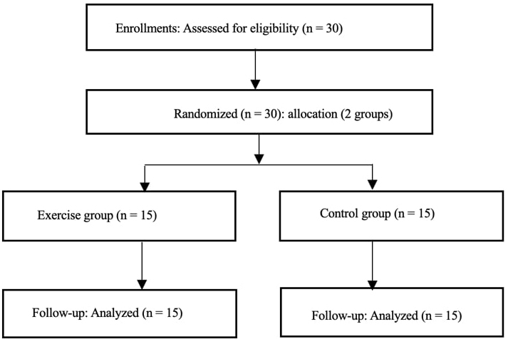 Flow chart of the study.