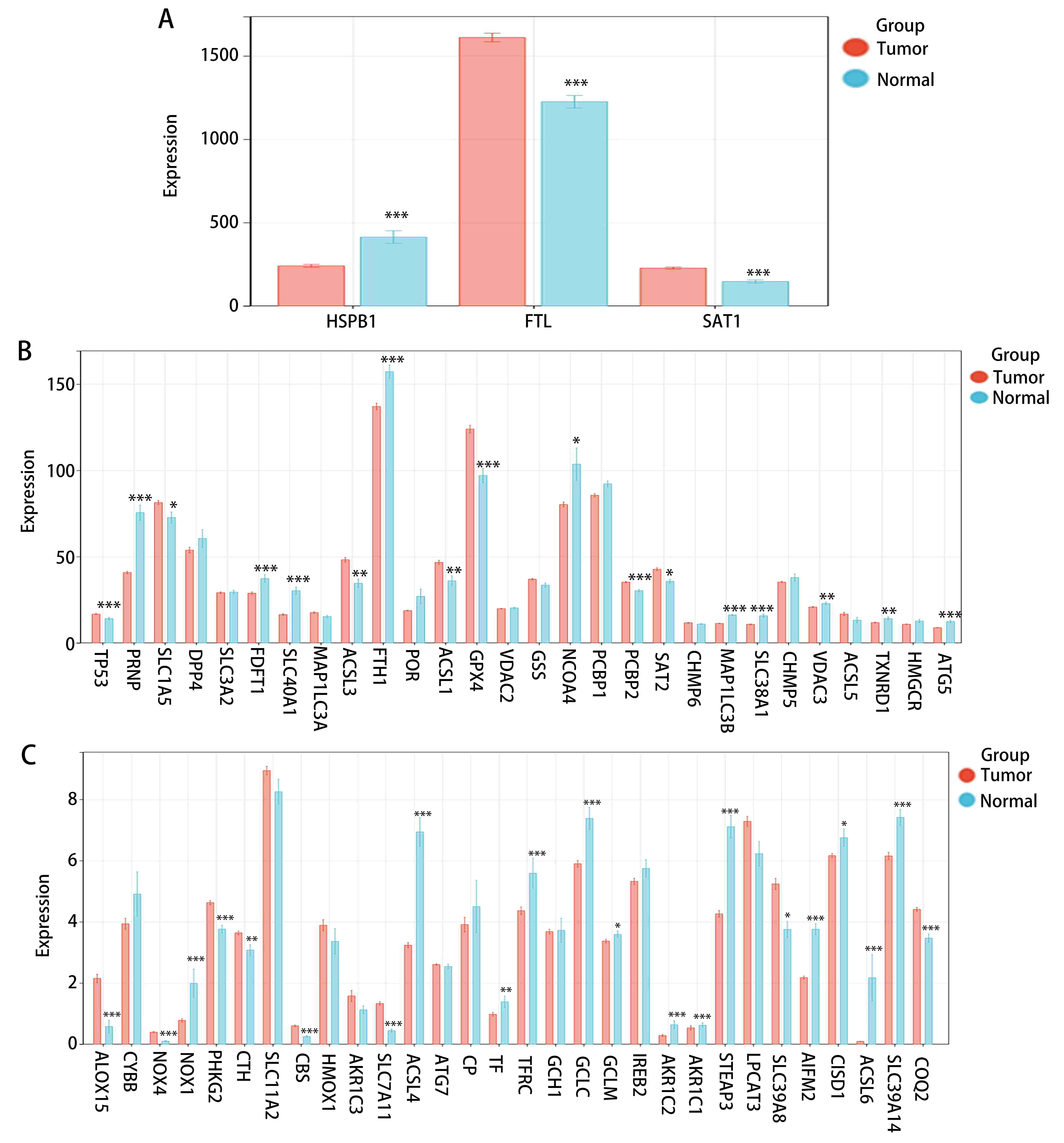 The expression of 64 FRGs
in tumor and normal tissues. *p < 0.05, **p < 0.01,
***p < 0.001.