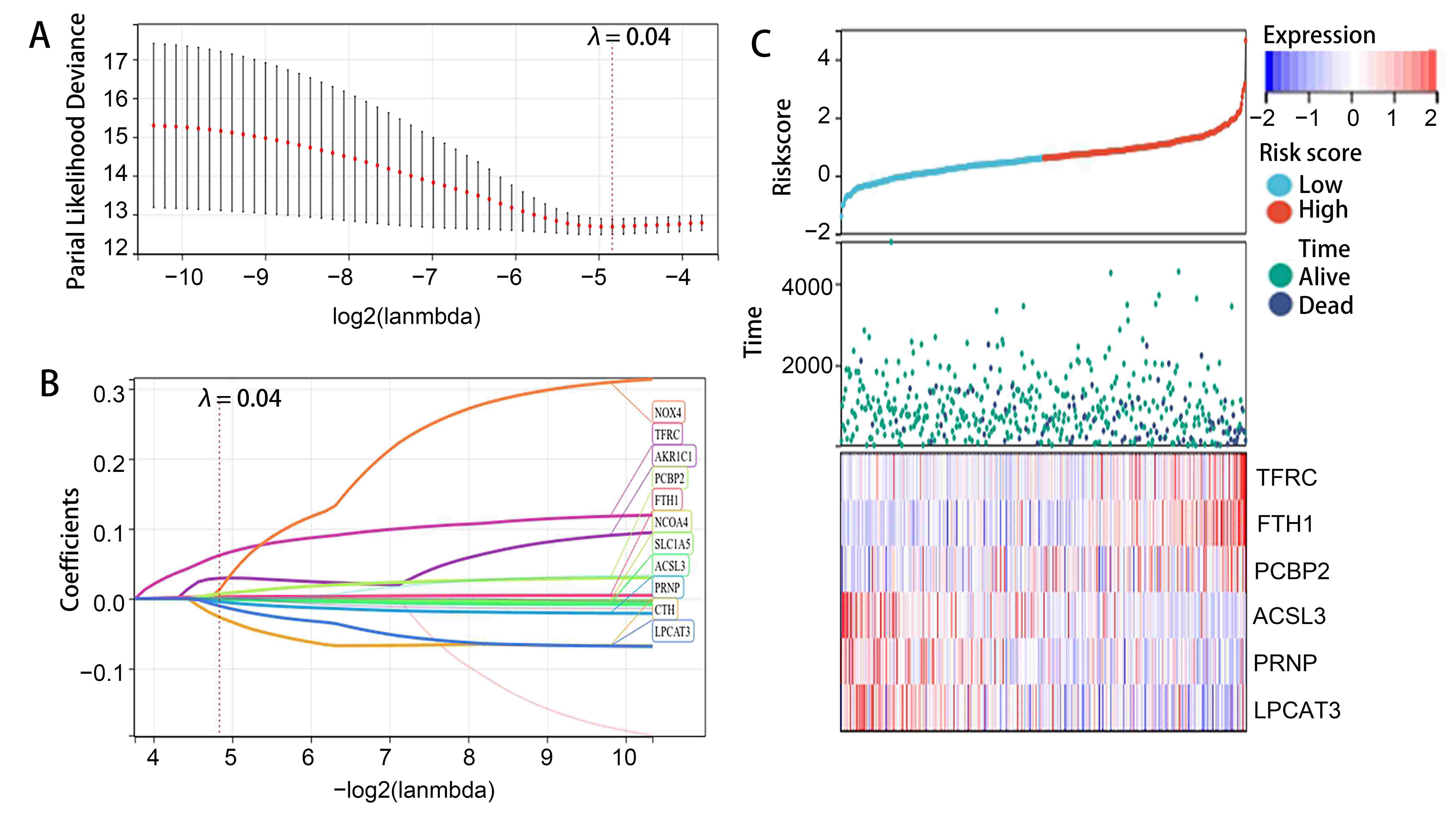 Lasso analysis of FRGs. (A)
The lambda value and corresponding partial likelihood values for the prognosis
model. (B) 11 FRGs were screened out in the optimal lambda. (C) Distribution of
risk score, survival status and the expression of the 6 genes.