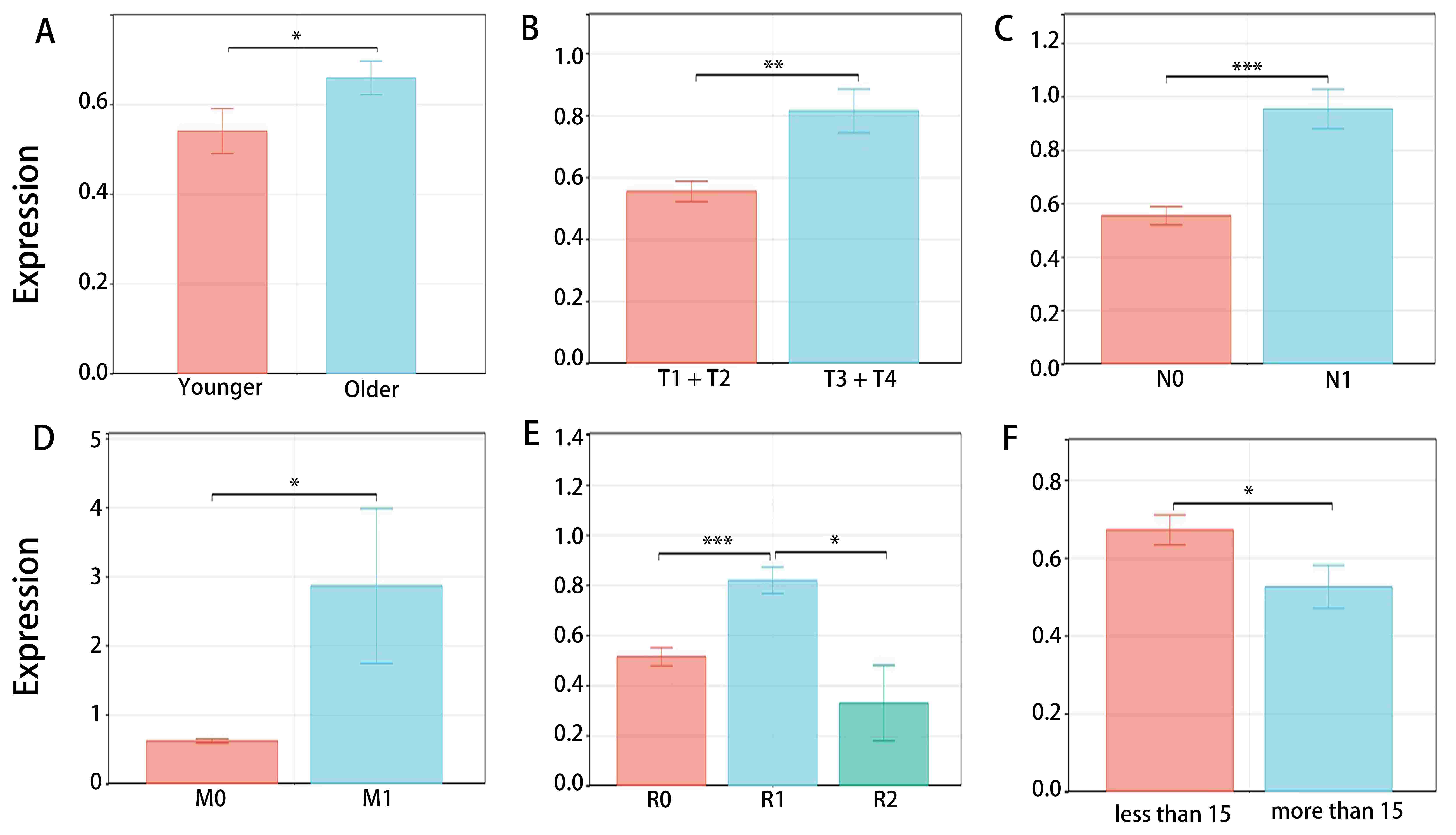 The correlation between
clinical characteristics and risk score. (A) age. (B) T stage. (C) N stage. (D) M
stage. (E) residual tumor. (F) number of lymphnodes. Younger indicated the age
<60, and older indicated age ≥60.