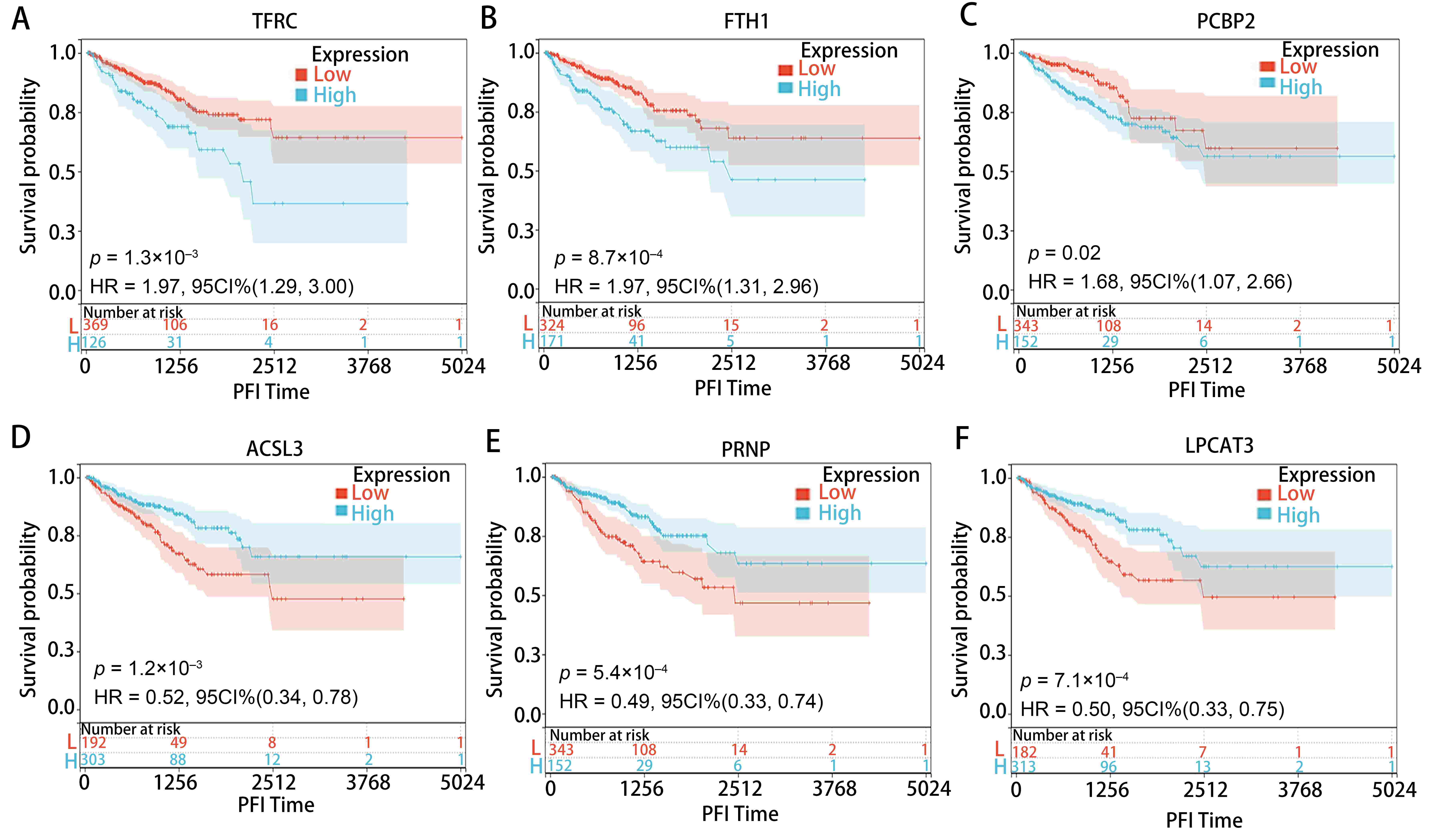 The prognostic value
analyses of each signature in the PFI of PRAD. (A–F) The correlation between the
expression of every signature, namely TFRC, FTH1, PCBP2, ACSL3, PRNP and LPCAT3,
and PFI in patients with PRAD.