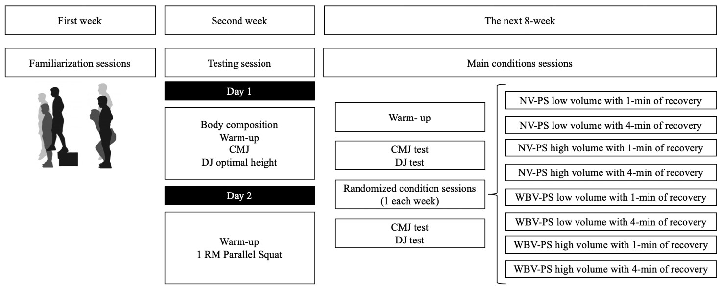Schematic representation of the study design. 1RM, one maximal repetition; PS, parallel squat; CMJ, countermovement jump; DJ,
drop jump; NV-PS, parallel squat without vibration; WBV-PS, parallel squat onto a
whole-body vibration platform.