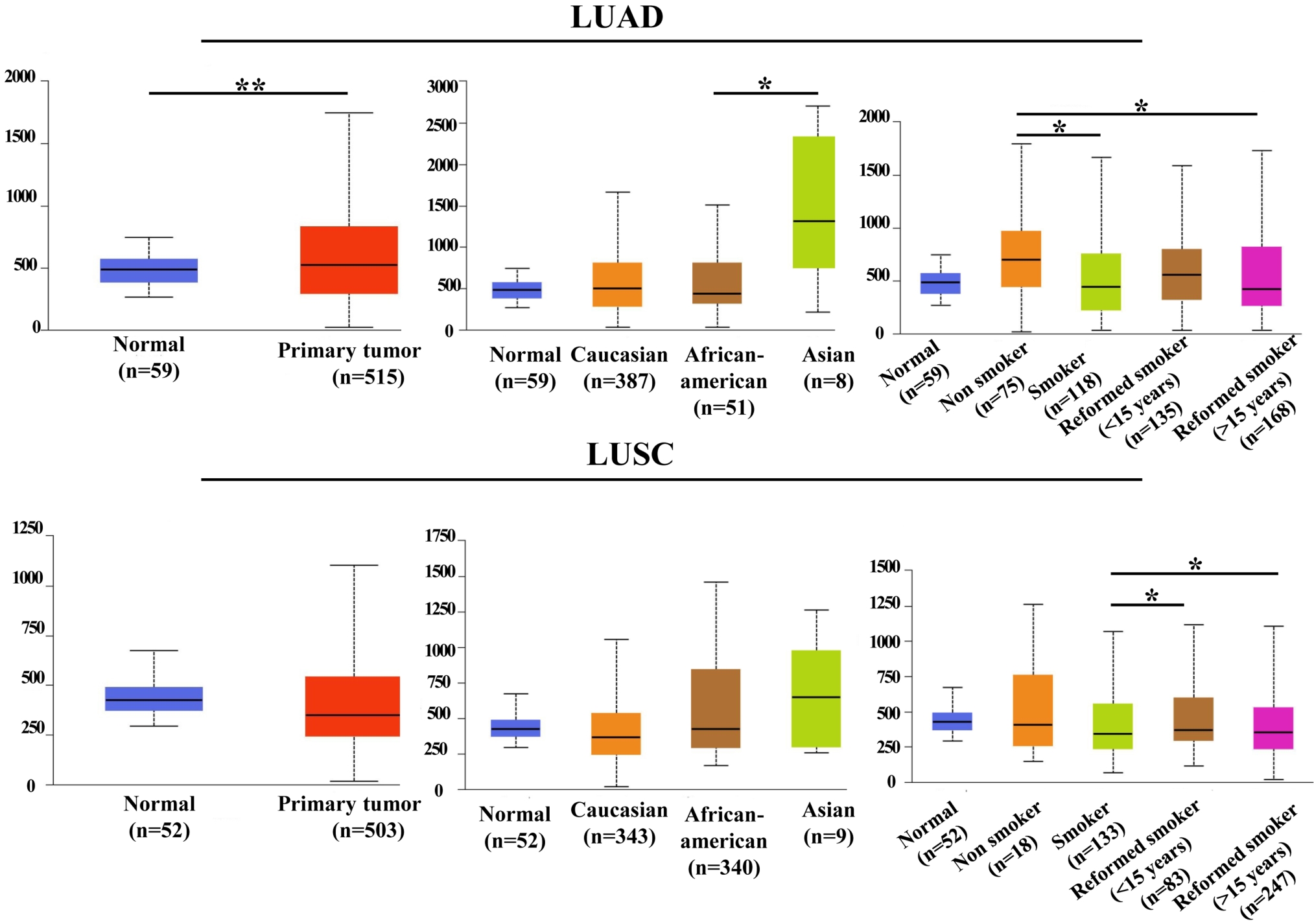 LY6E expression level was associated with race and 
smoking in LUAD and with smoking in LUSC. Smoking patients depicted lower 
LY6E expression than non-smokers or reformed smokers in LUAD and LUSC. 
*p < 0.05, **p < 0.01. LUAD, lung adenocarcinoma; LUSC, 
lung squamous cell carcinoma.
