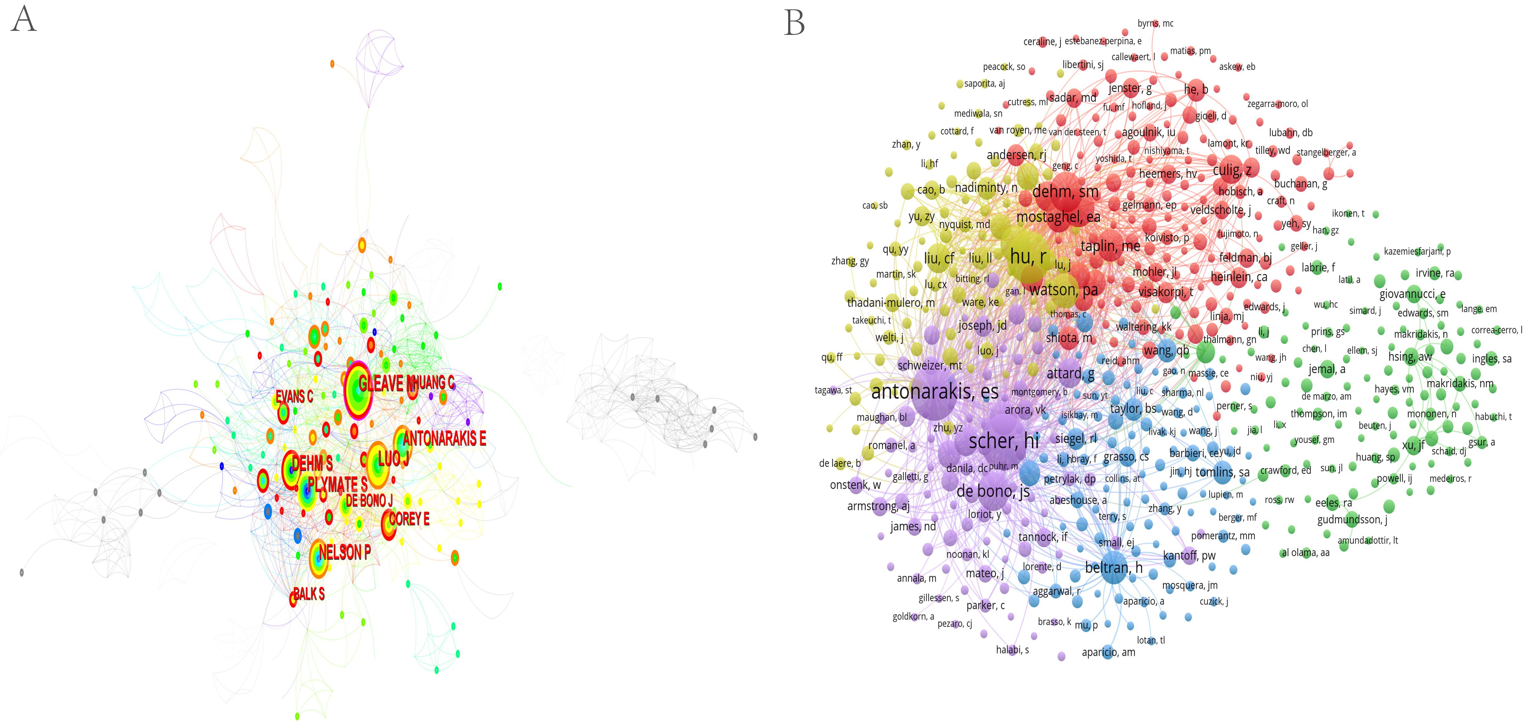 Analysis of authors and
co-cited authors in the research on androgen receptor splice variants in prostate
cancer from 2000 to 2021. (A) Map of the authors and collaborations. (B) Cluster
analysis of the co-cited authors.
