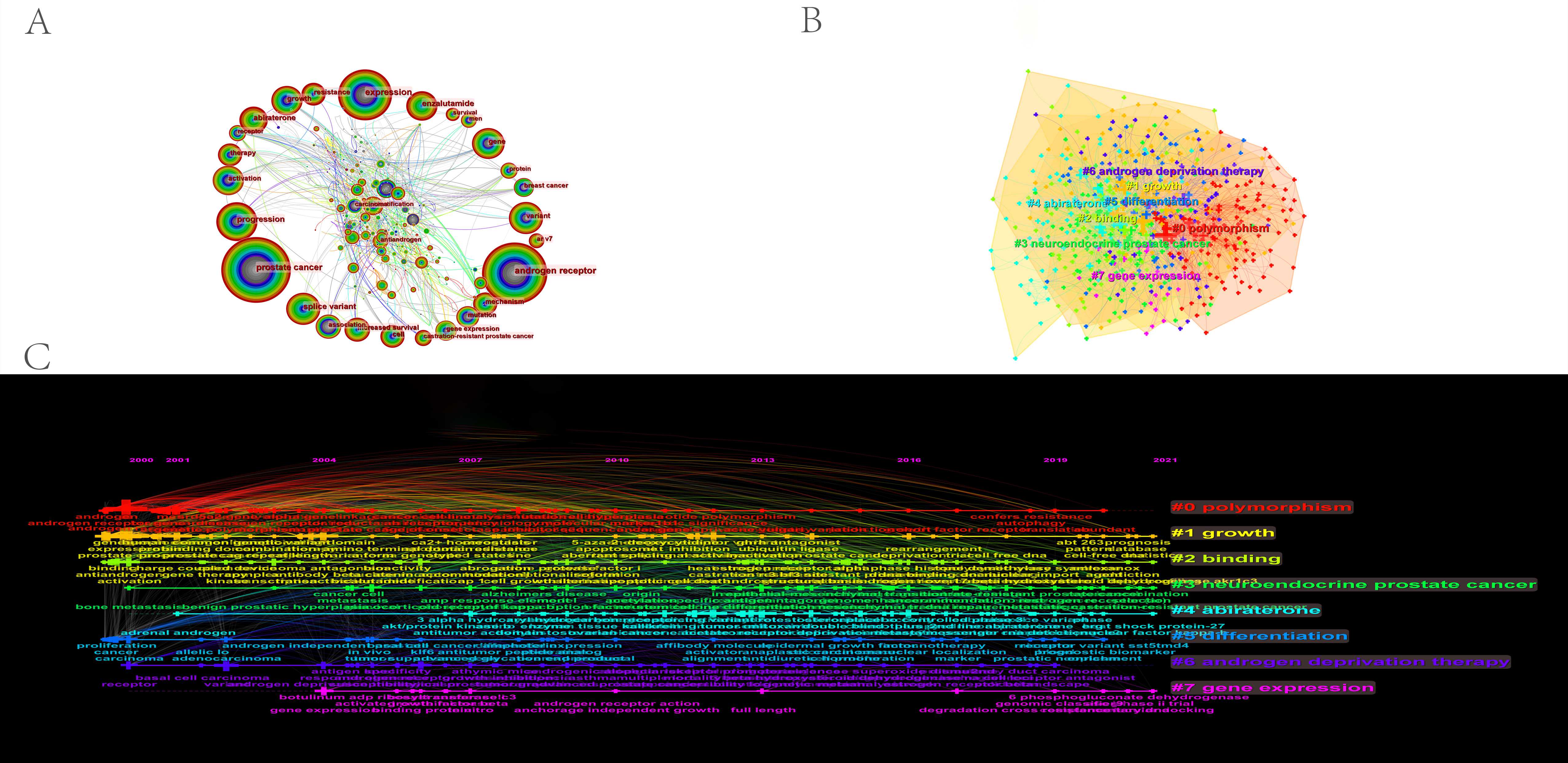 Analysis of keywords in the
research on androgen receptor splice variants in prostate cancer from 2000 to
2021. (A) Map of the keyword co-occurrence. (B) Cluster analysis of the keywords.
(C) Timeline spectrogram analysis of keywords.
