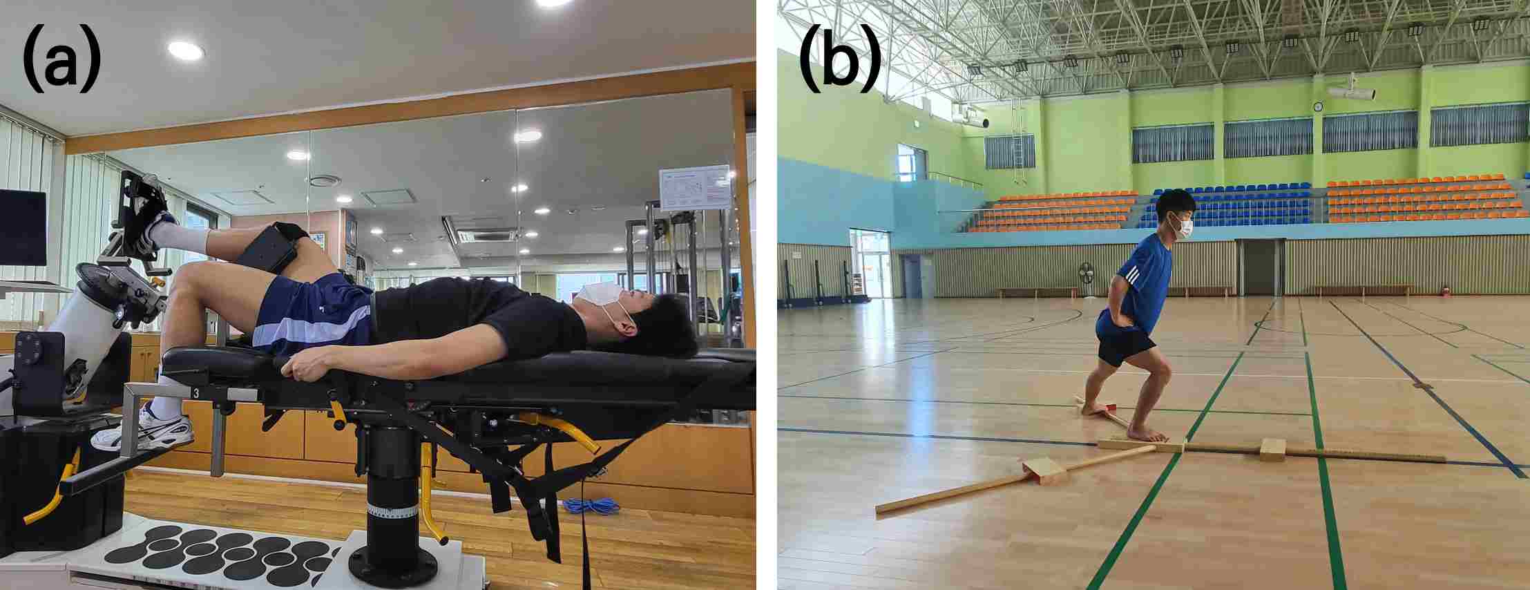 Testing position. (a) isokinetic eversion strength, and (b)
Y-balance test.