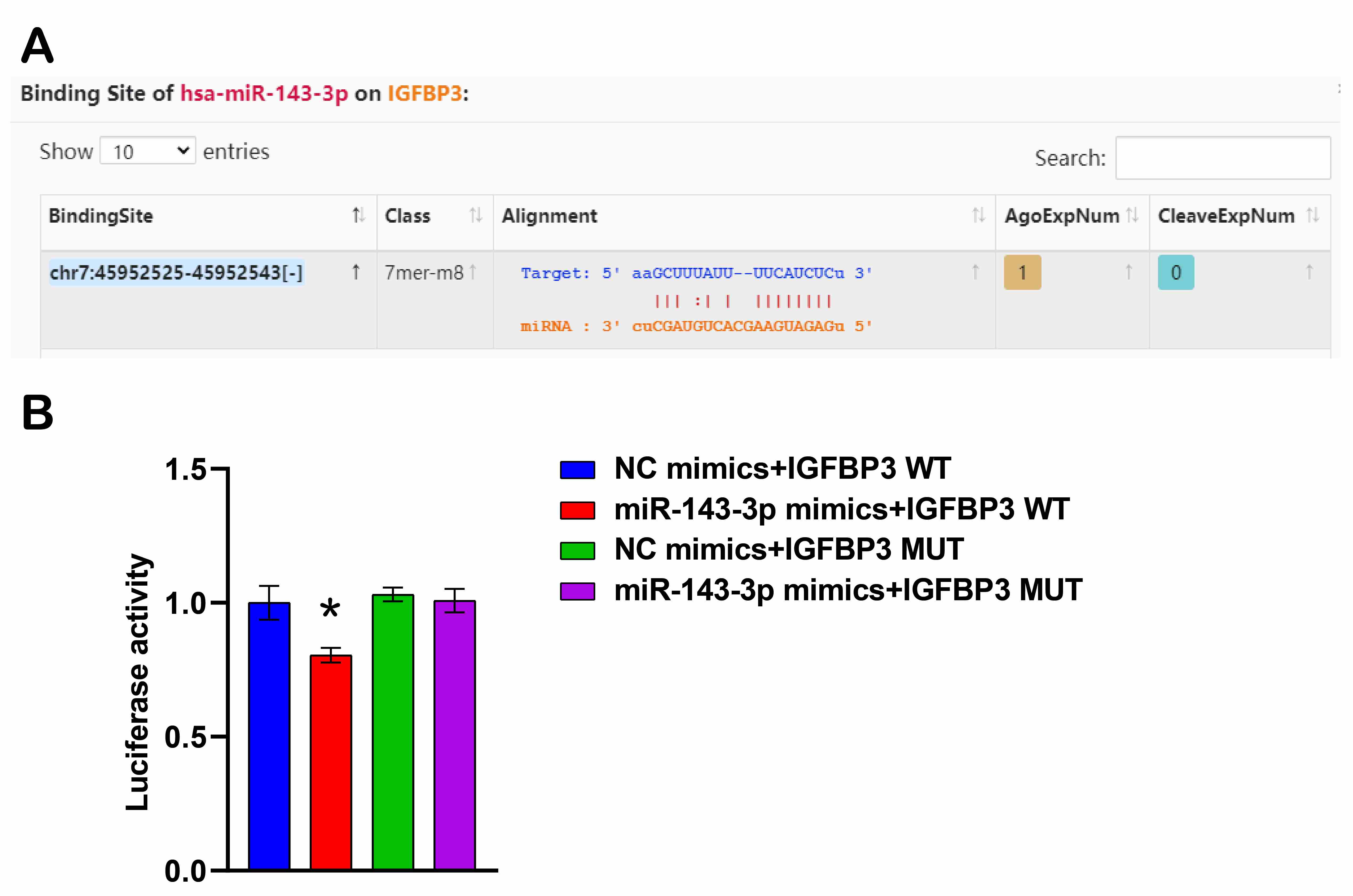 Prediction and validation of miR-143-3p targeting IGFBP-3. (A) Bioinformatics
prediction of the target relationship between miR-143-3p and IGFBP-3. (B) Dual-luciferase reporter assays were used
for the validation of miR-143-3p targeting IGFBP-3. One-way ANOVA was used to
analyze statistical significance. *p < 0.05 vs. NC
mimics + IGFBP3 WT group. WT: wild-type; MUT: mutated; IGFBP-3:
insulin-like growth factor binding protein-3.