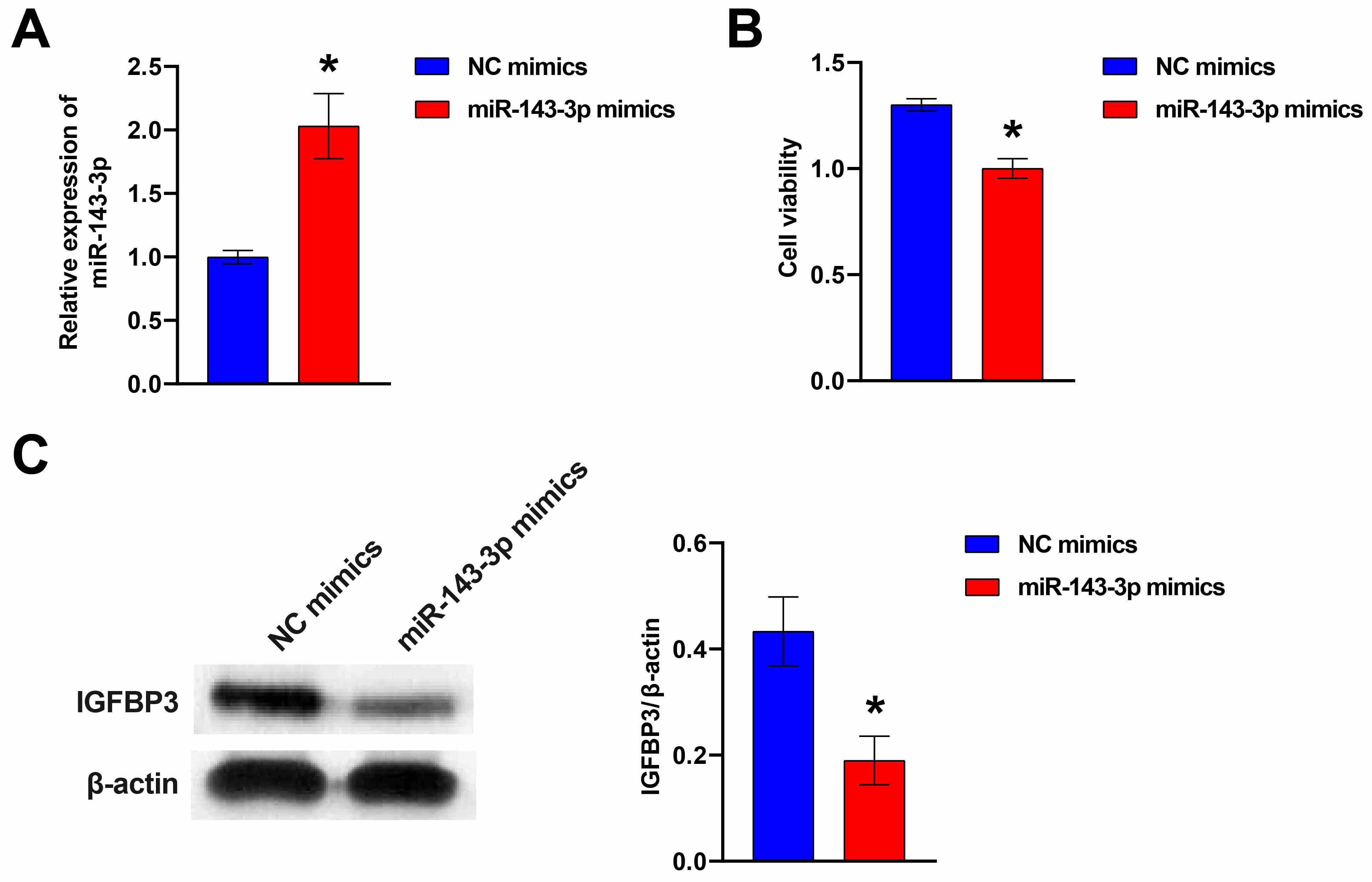 miR-143-3p could limit HFF-1 cell growth and IGFBP-3 expression. (A) qRT-PCR
for measurement of miR-143-3p expression. (B) CCK8 assays for HFF-1 cell
viability. (C) Western blotting for analysis of the abundance of IGFBP-3. The
student’s t-test was used to analyze statistical significance.
*p < 0.05 vs. NC mimics group. NC: nitrocellulose;
IGFBP-3: insulin-like growth factor binding protein-3.