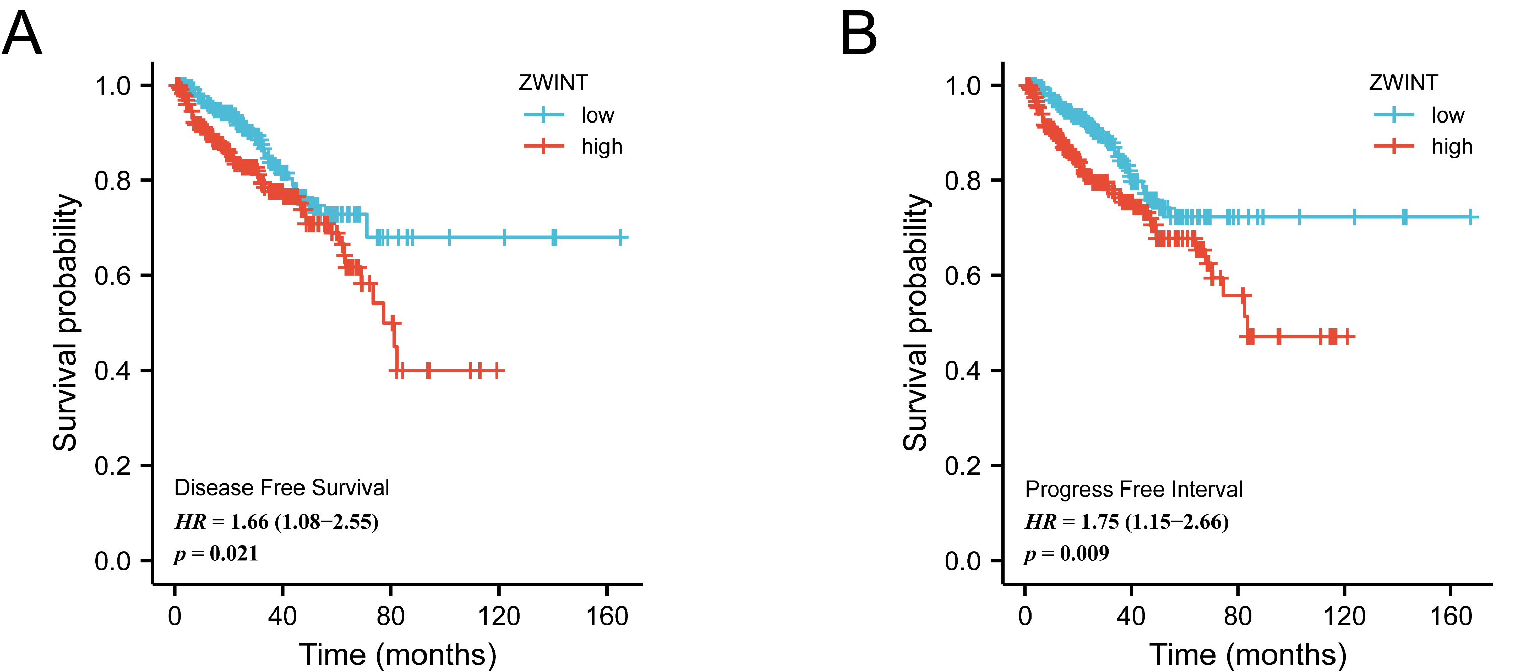 ZWINT expression correlates with the prognosis of
prostate cancer. (A): Disease free survival analysis for PCa samples from the
TCGA dataset with high or low ZWINT expression. (B): Progress free
survival analysis for PCa samples from the TCGA dataset with high or low
ZWINT expression. ZWINT: ZW10 Interactor; HR: Hazard Ratio.