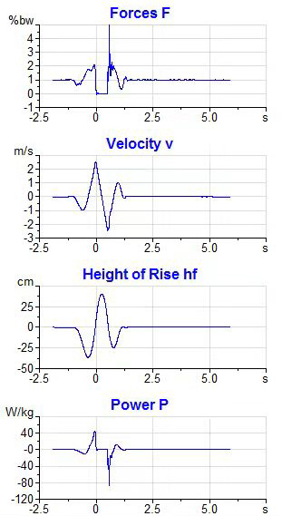 1Schematic diagram of the CMJ test index.