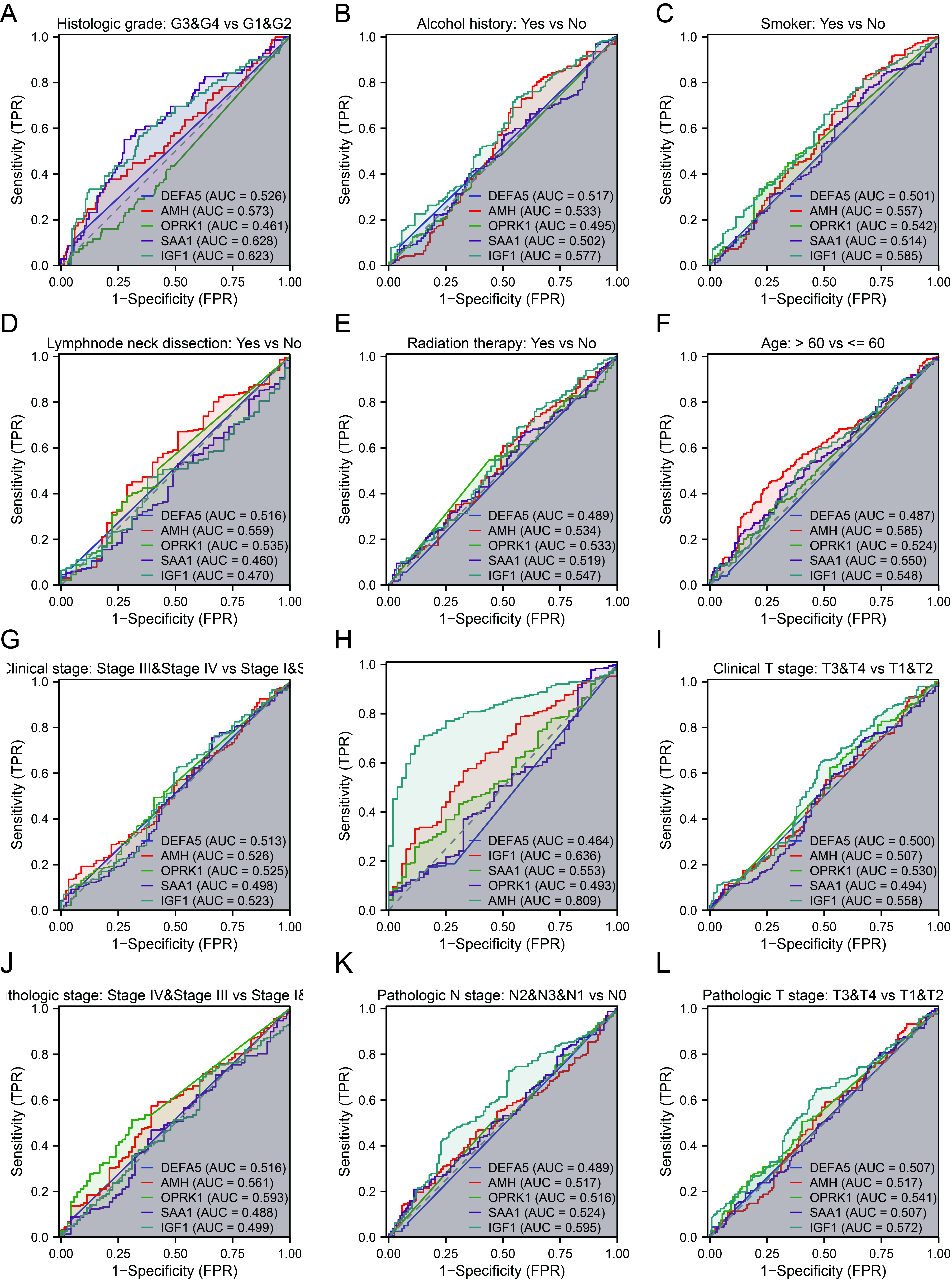 ROC curves validate diagnostic efficacy. (A) The diagnostic
efficacy of the 5-gene prognostic model for prostate cancer; (B–L) To verify the
efficacy of the 5-gene prognostic model in the identification of Clinical
variable outcomes of Alcohol history, Smoker, Lymphnode neck dissection,
Radiation therapy, Age, Clinical stage, Histologic grade, Clinical t stage,
Pathologic stage, Pathologic n stage, Pathologic T stage, respectively. AUC: area
under the curve; AMH: Anti-Mullerian Hormone; IGF1: Insulin Like Growth Factor 1;
OPRK1: Opioid Receptor Kappa 1; SAA1: Serum Amyloid A1. DEFA5: Defensin Alpha 5;
TPR: True positive rate; FPR: False positive rate.