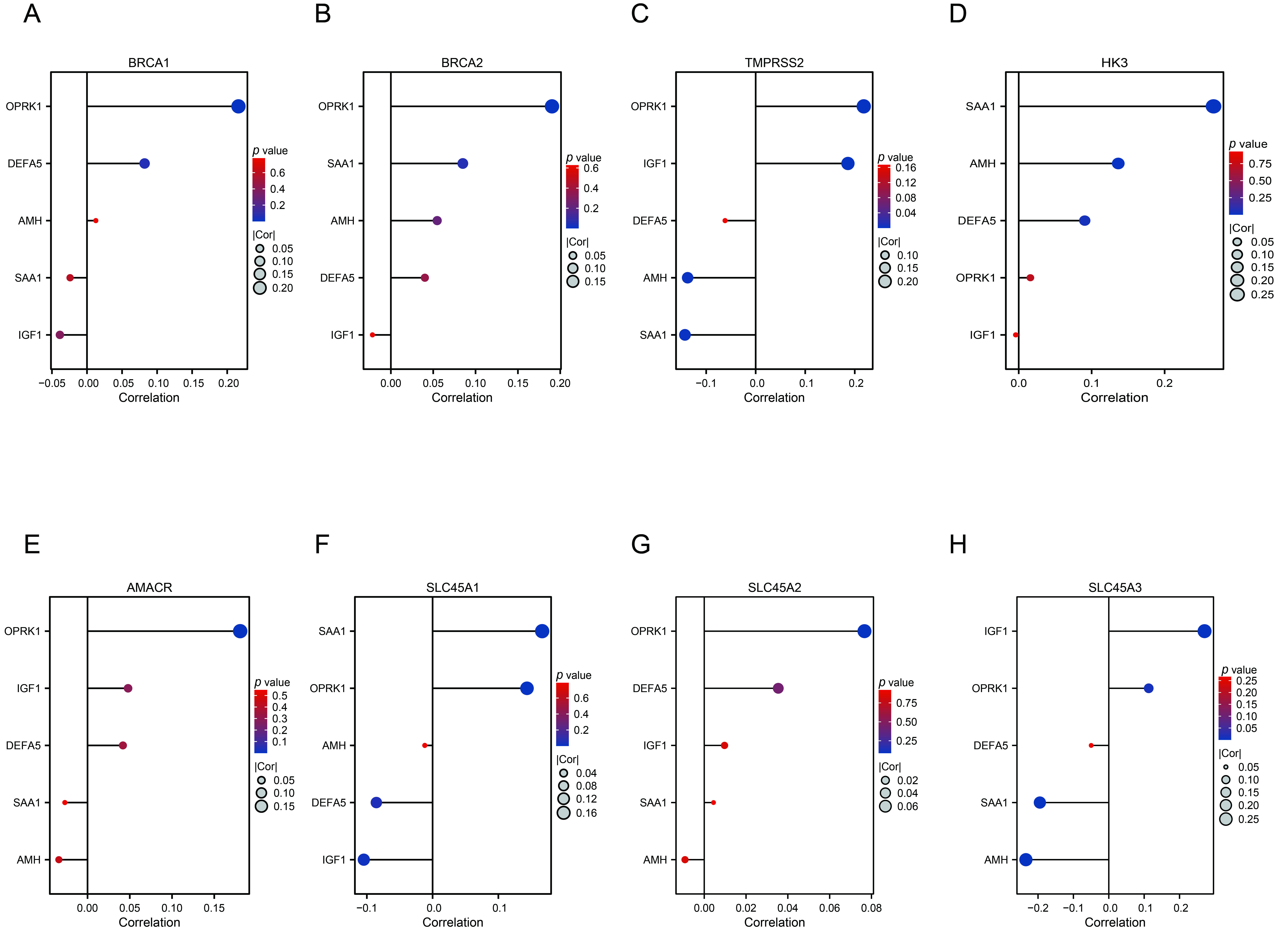 Prognostic model is associated with prostate cancer. The overall
results showed that the expression of OPRK1 in five prognostic model molecules
was correlated with the expression of BRCA1, BRCA2 (A,B), TMPRSS2 (C), HK3 (D),
AMACR (E), SLC45A1, SLC45A3, SLC45A4 (F–H) in lollipop graph, the size and color
of the circle represent significance. BRCA1: BRCA1 DNA Repair Associated; AMH:
Anti-Mullerian Hormone; IGF1: Insulin Like Growth Factor 1; OPRK1: Opioid
Receptor Kappa 1; SAA1: Serum Amyloid A1; DEFA5: Defensin Alpha 5; HK3:
Hexokinase 3; TMPRSS2: transmembrane serine endopeptidase 2; AMACR:
Alpha-methylacyl-coa racemase.