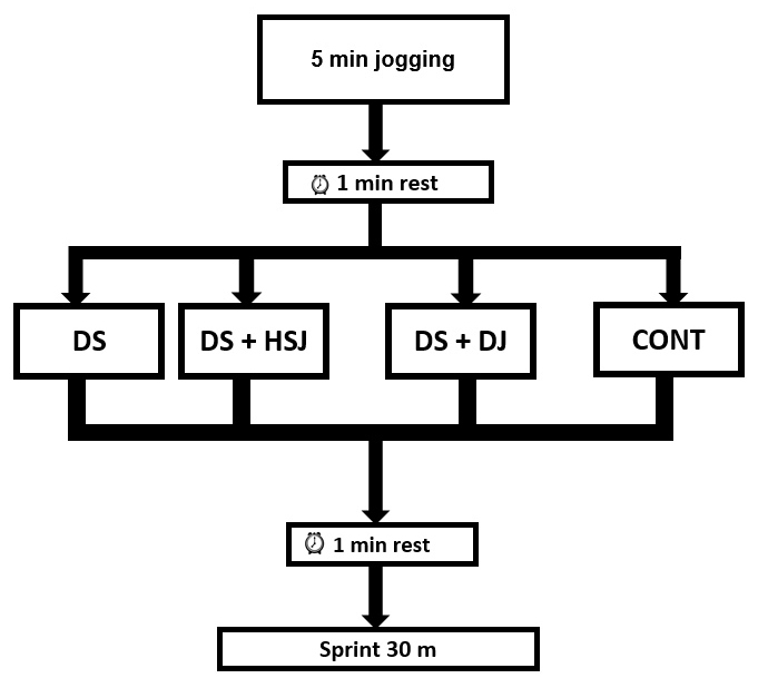 The flow chart for experimental design of research. HSJ: Half
squat jump; DJ: Drop jump; DS: dynamic stretching; CONT: control.