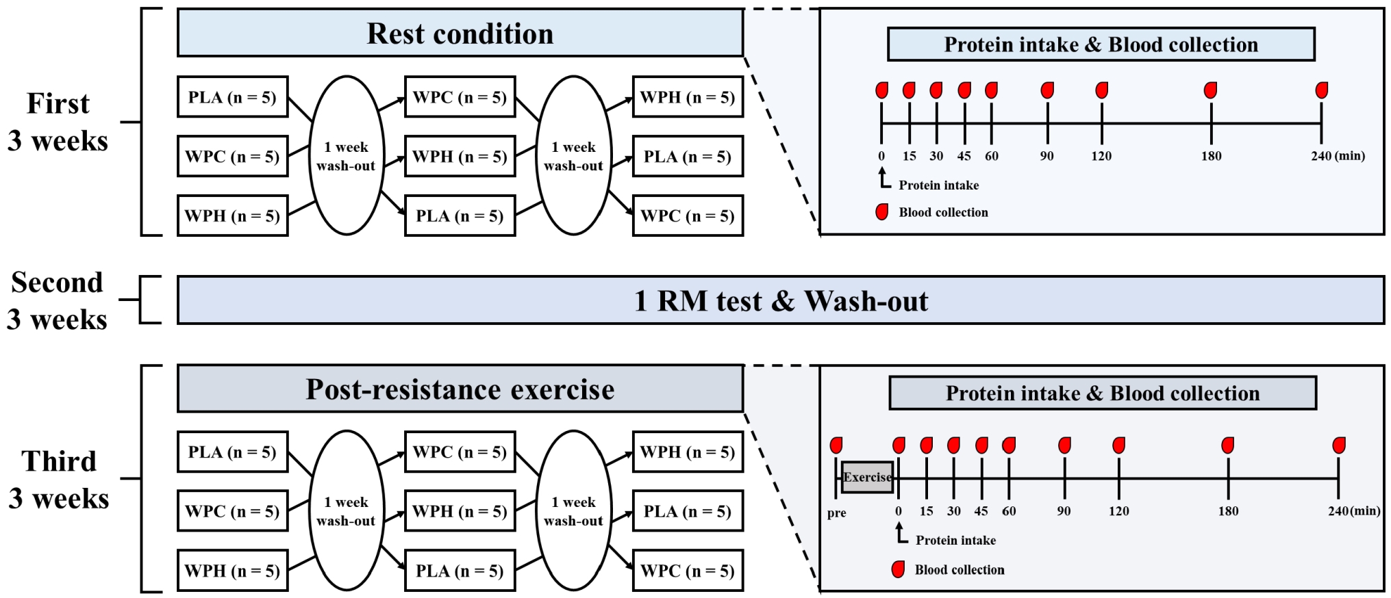Study design. PLA: Placebo; WPC: whey protein concentrate; WPH:
whey protein hydrolysate; 1RM: 1 Repetition Maximum.