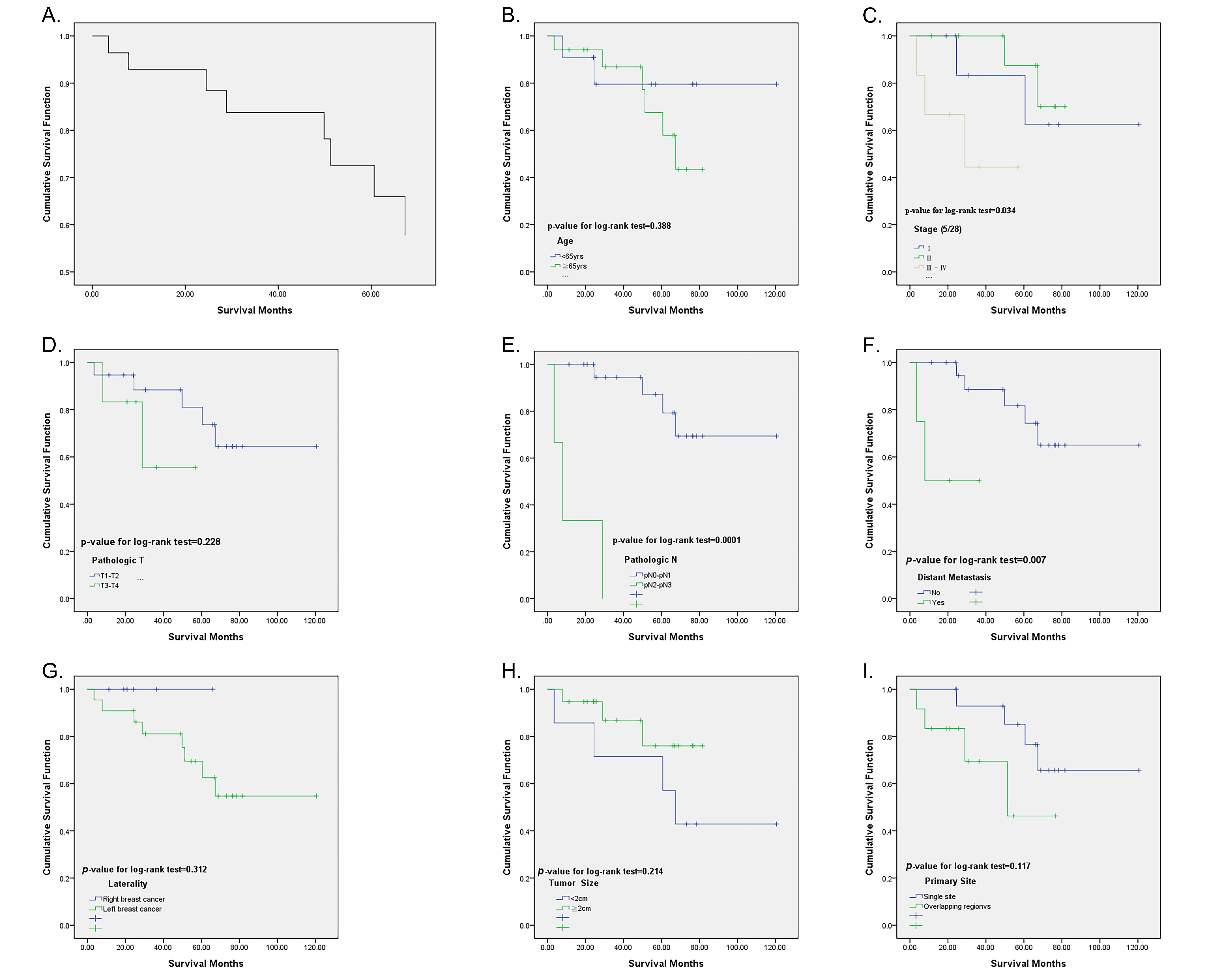 The 10-year cumulative survival rate of male breast cancer
patients stratified by various factors. (A), Age (B), Stage (C), Pathological T
(D), Pathological N (E), Distant metastasis (F), Laterality (G), Tumor size (H),
Primary site (I).