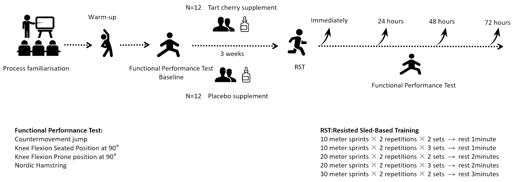 Visualization flow of the experimental procedure.