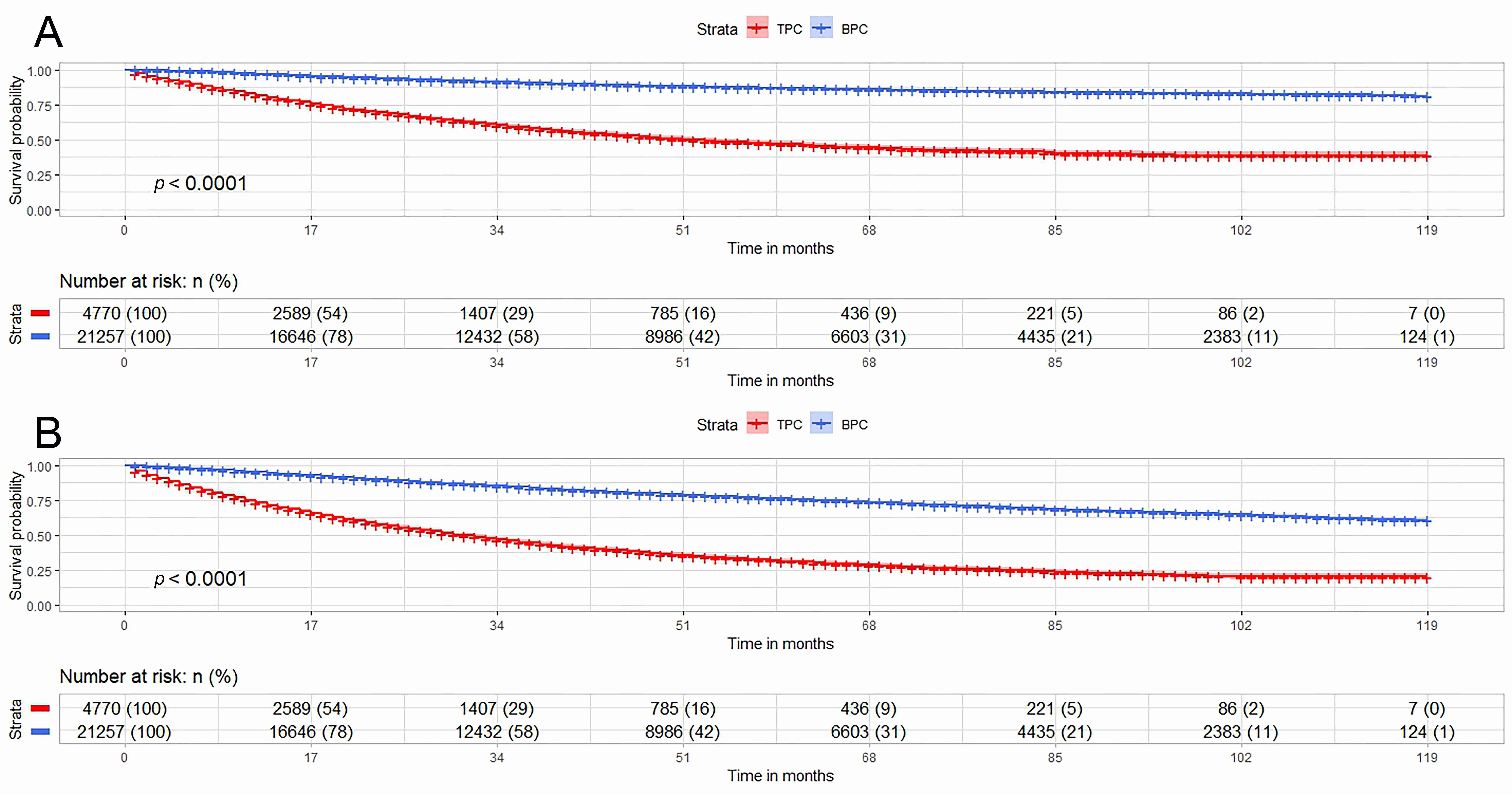 Survival rates between TPC and BPC patients before PSM. (A) CSM 
comparison between TPC and BPC patients; (B) OM comparison between TPC and BPC 
patients. TPC: prostate cancer diagnosed by transurethral resection of the 
prostate; BPC: prostate cancer diagnosed by prostate biopsy; PSM: propensity 
score matching; CSM: prostate cancer-specific mortality; OM: overall mortality.