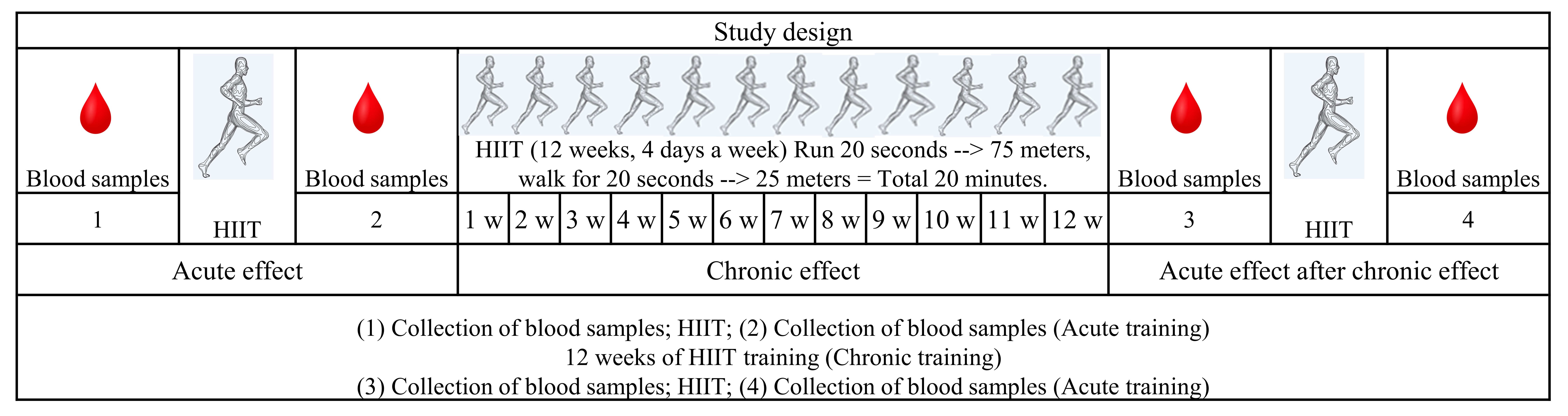The study design. HIIT: High Intensity Interval Training.