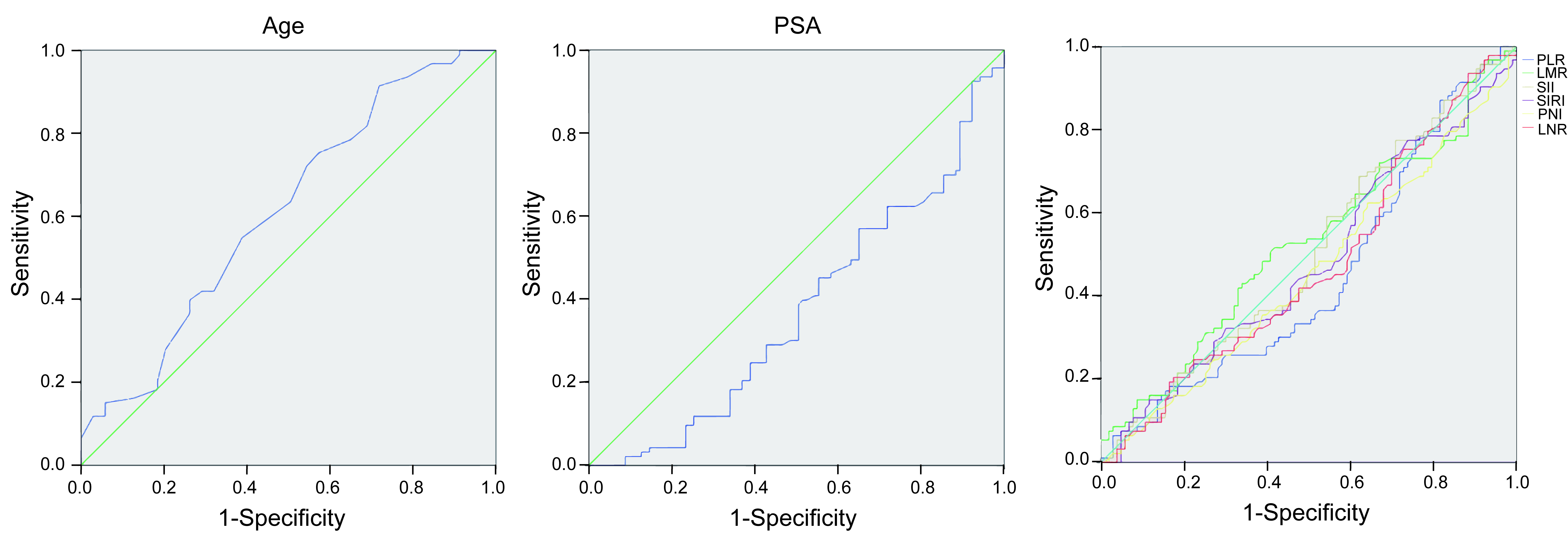 ROC curves for the DU prediction. ROC: receiver operating
characteristic; AUC: area under the curve; PSA: prostate-specific antigen; PLR:
platelets to lymphocyte ratio; LMR: lymphocyte to monocyte ratio; SII: systemic
immune inflammation index; SIRI: systemic inflammation response index; PNI:
prognostic nutritional index; NLR: neutrophil to lymphocyte ratio.