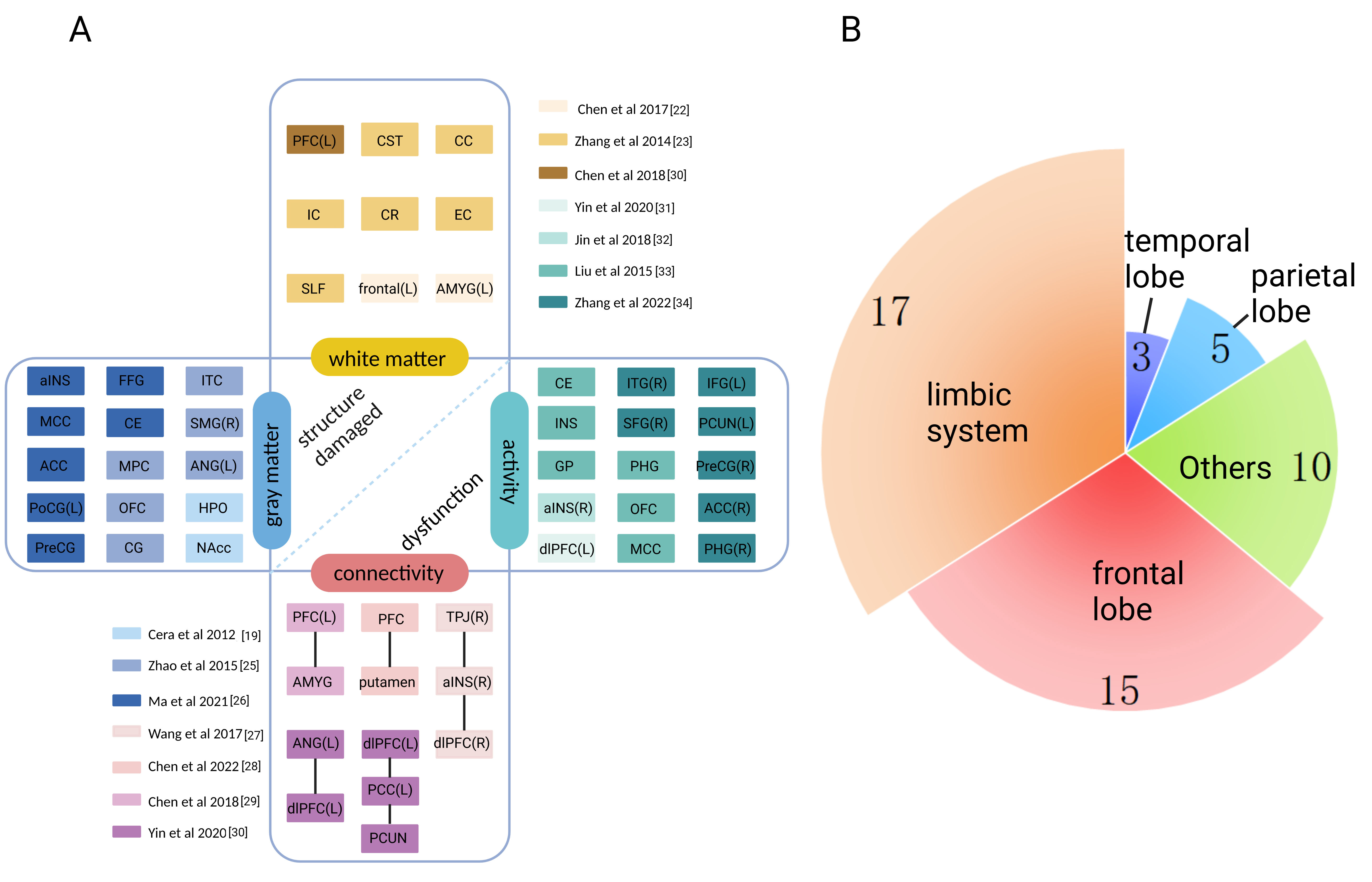 Diagram depicting brain structure and dysfunction in patients
with pED. (A) brain structure and dysfunction (based on the conclusions in Table 3, the abnormal brain regions were collated and attributed to abnormalities in
the white matter, grey matter, function and connectivity of the brain. In the
classification of white matter, grey matter, connectivity and activity, the color
of the rectangles used for the abnormal brain areas corresponds to the color of
the rectangles used for related references); (B) distribution of brain structure
and dysfunction (17, 15, 10, 5 and 3 represent the frequency of occurrence in
related regions in Fig. 4A, respectively). Abbreviations: L, left; R, right; ACC, anterior cingulate cortex; aINS,
anterior insula; AMYG, amygdala; ANG, angular gyrus; CC, corpus callosum; CE,
cerebellum; CG, cingulate gyrus; CR, corona radiata; CST, corticospinal tract;
dlPFC, dorsolateral prefrontal cortex; EC, external capsule; FFG, fusiform gyrus;
GP, globus pallidus; HPO, hypothalamus; IC, internal capsule; IFG, inferior
frontal gyrus; INS, insula; ITC, inferotemporal cortical; ITG, inferior temporal
gyrus; MCC, middle cingulate cortex; mPFC, medial prefrontal cortical; NAcc,
nucleus accumbens; OFC, orbitofrontal cortex; PCC, posterior cingulate cortex;
PCUN, precuneus; PFC, prefrontal cortex; PHG, parahippocampal gyrus; PreCG,
precentral gyrus; PoCG, postcentral gyrus; SFG, superior frontal gyrus; SLF,
superior longitudinal fasciculus; SMG, supramarginal gyrus; TPJ, temporoparietal
junction.