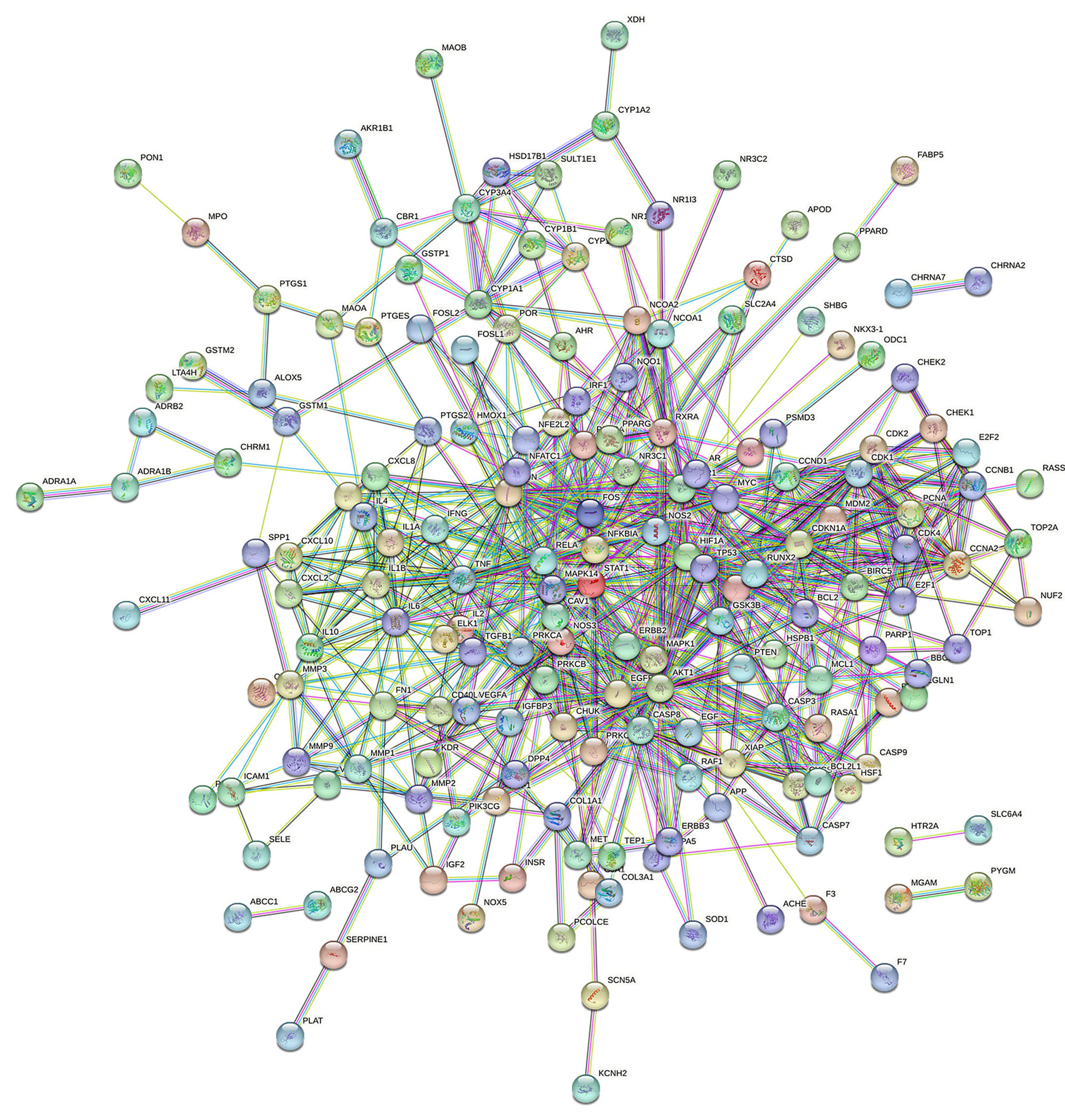 PPI network of Scutellaria barbata in the treatment of 
prostate cancer.