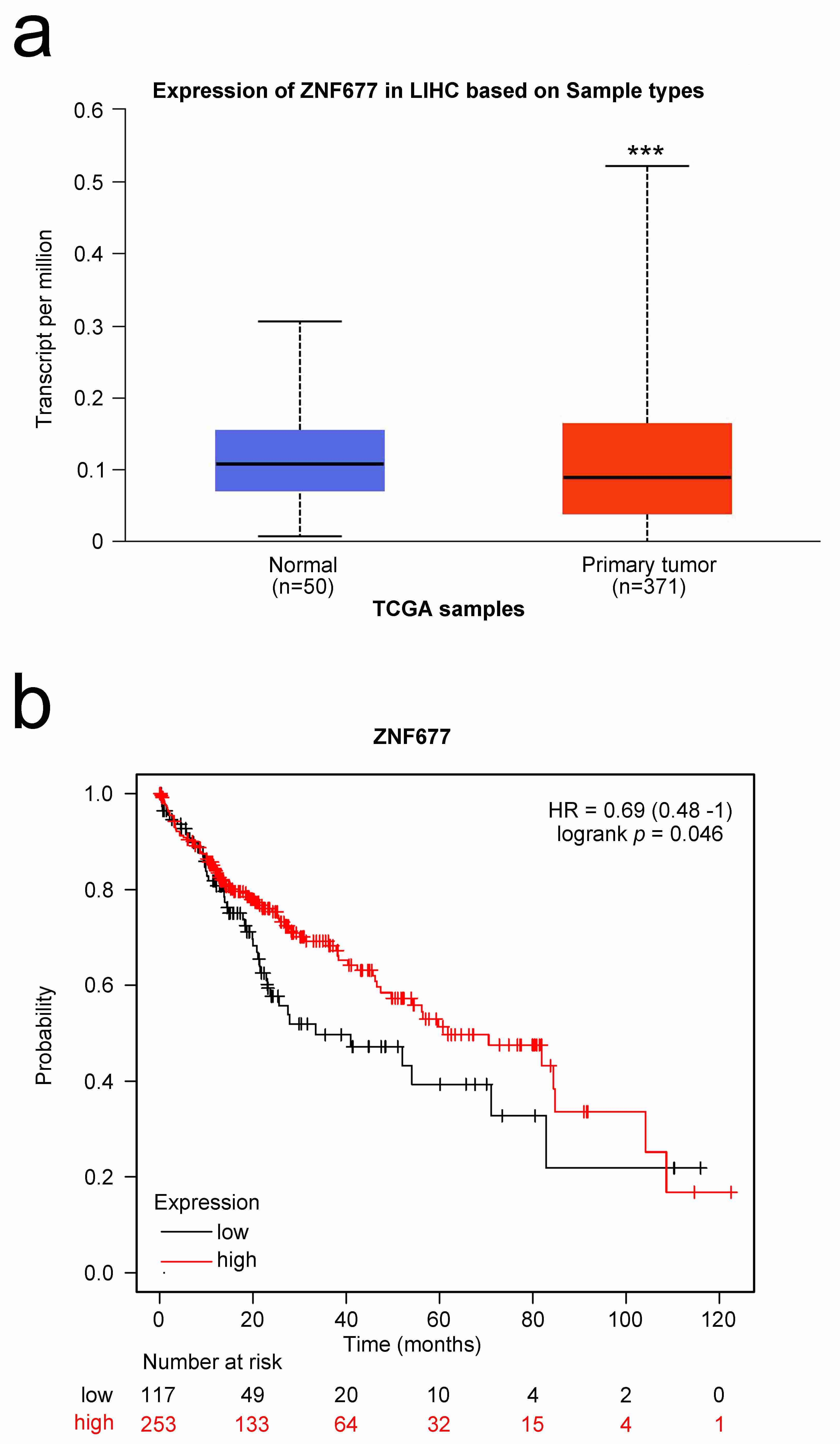 Low ZNF677 expression in human HCC tissues and correlation with 
prognosis. (a) Analysis from the TCGA database indicates low ZNF677 expression 
in 371 HCC tissues compared to 50 normal tissues. (b) Data from the PrognoScan 
database demonstrate a correlation between low ZNF677 expression and poor 
prognosis in HCC patients (p = 0.046). ZNF: Zinc finger; TCGA: The 
Cancer Genome Atlas; LIHC: Liver Hepatocellular Carcinoma; HR: Hazard Ratio; 
***p < 0.001.