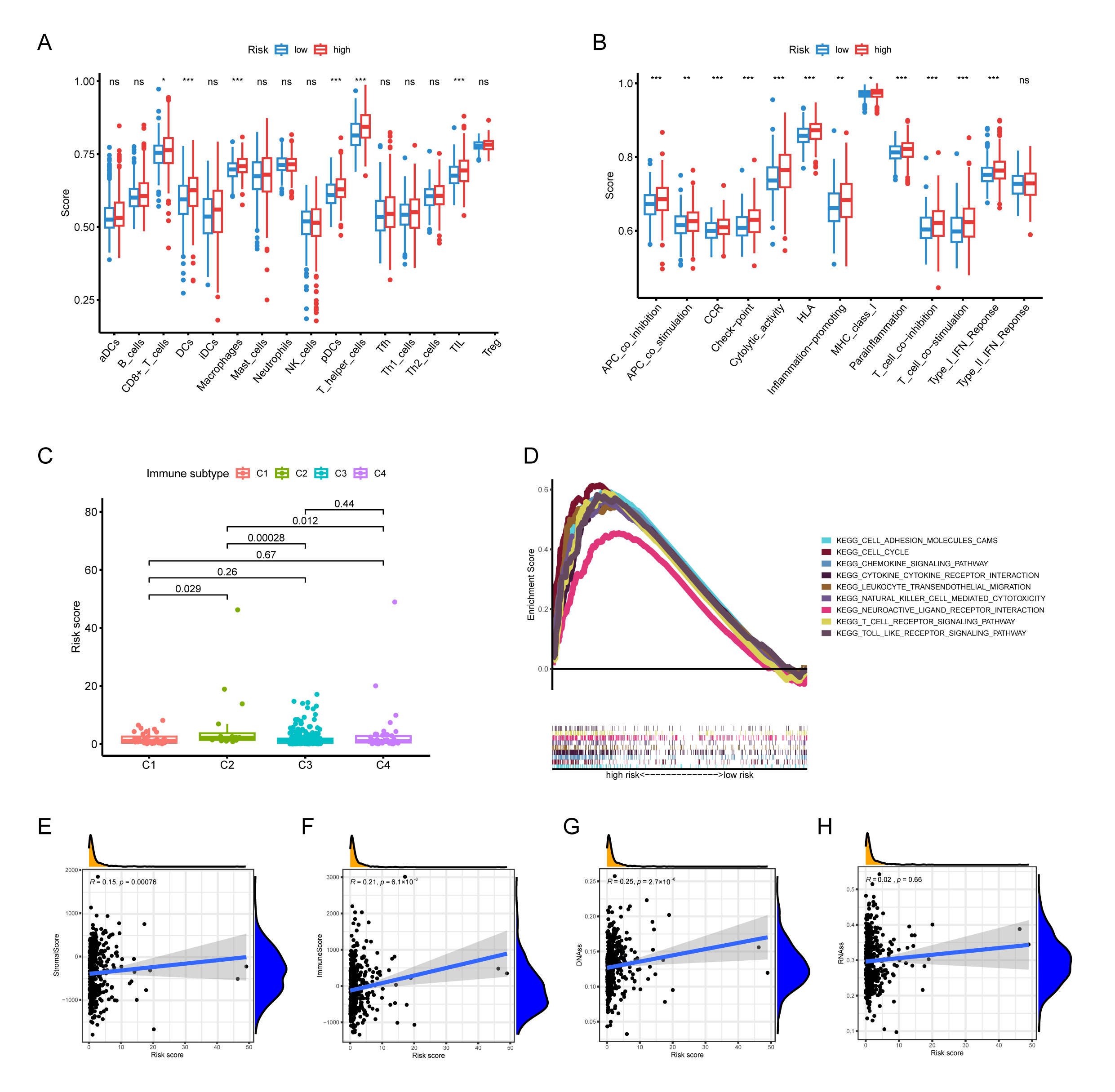 Correlation analysis between the risk score and immune
infiltration status. (A) Comparison of immune cell subsets in low- and high-risk
groups. (B) Comparison of immune function and pathways in the low- and high-risk
groups. (C) Differences in immune classification among PCa patients with
different risk scores. (D) Functional enrichment in risk groups revealed by GSEA
analysis. (E) Scatterplot depicting the correlation between the stromal cell
score. (F) Scatterplot depicting the correlation between the immune cell score.
(G) Scatterplot depicting the correlation between DNAss. (H)
Scatterplot depicting the correlation between RNAss. (*p < 0.05,
**p < 0.01, ***p < 0.001). PCa: prostate cancer; GSEA: Gene
Set Enrichment Analysis; DNAss: DNA methylation-based stemness scores; RNAss: RNA
expression-based stemness scores.