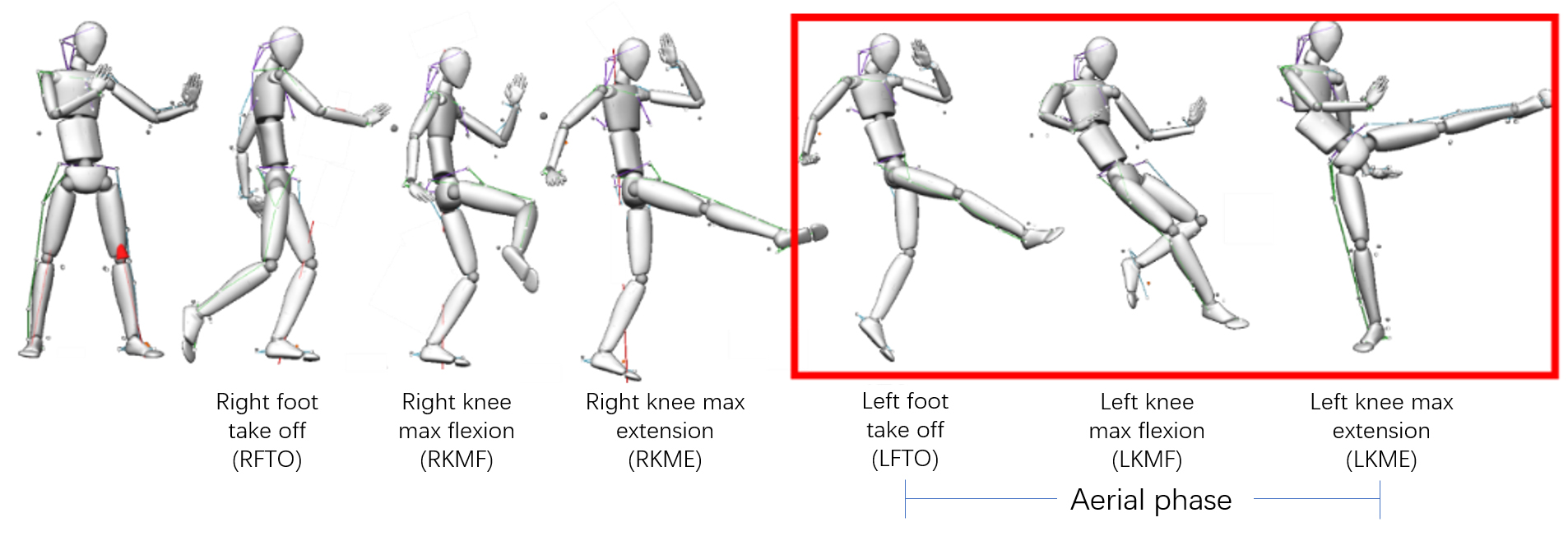 Wing kick movement phase division [12]. Red boxes indicate the 
phase of analysis in this study.