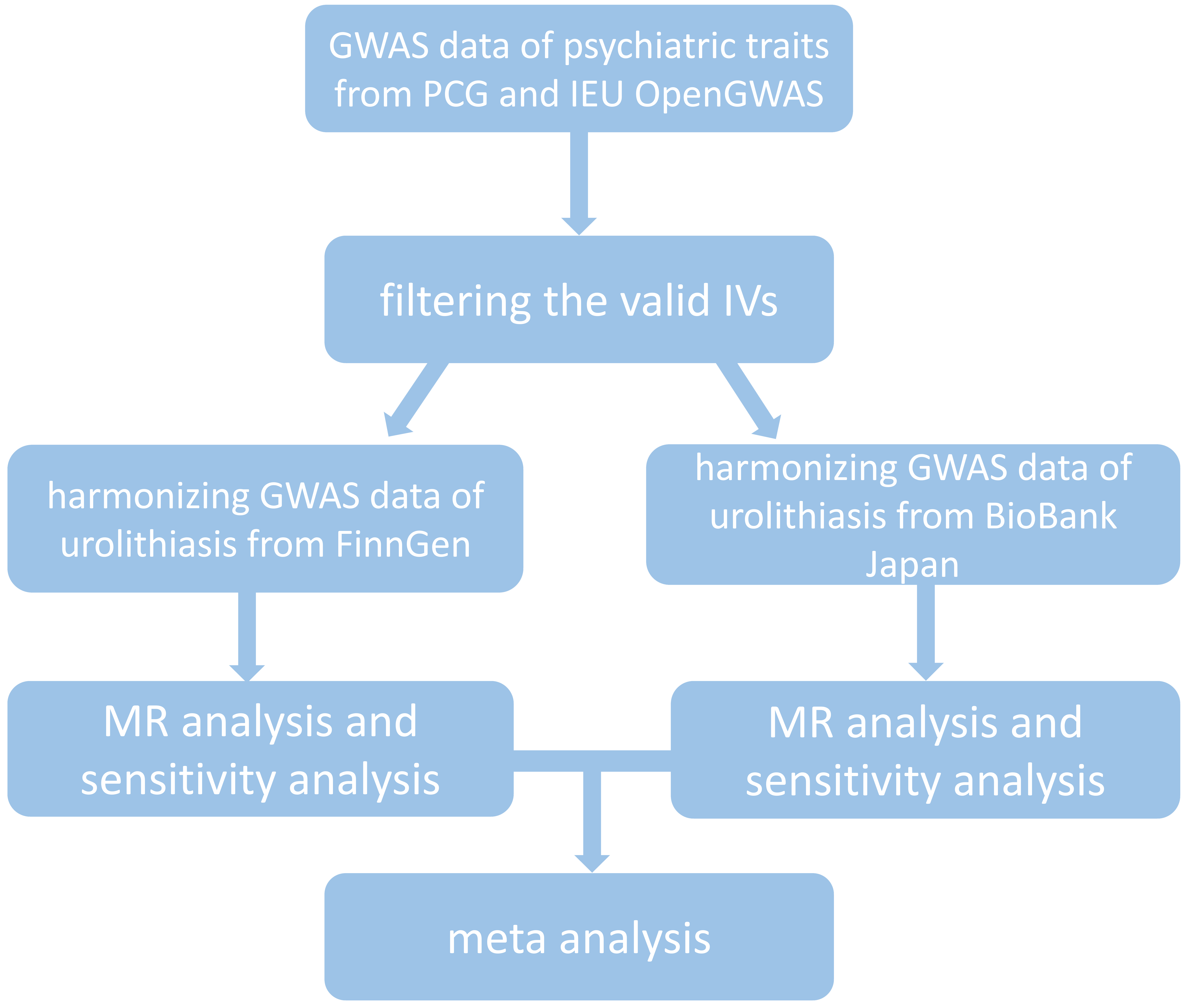 Flow chart throughout the study. GWAS: genome-wide association
study; PCG: Psychiatric Genomics Consortium; IEU: Integrative Epidemiology Unit;
IVs: instrumental variables; MR: Mendelian randomization.