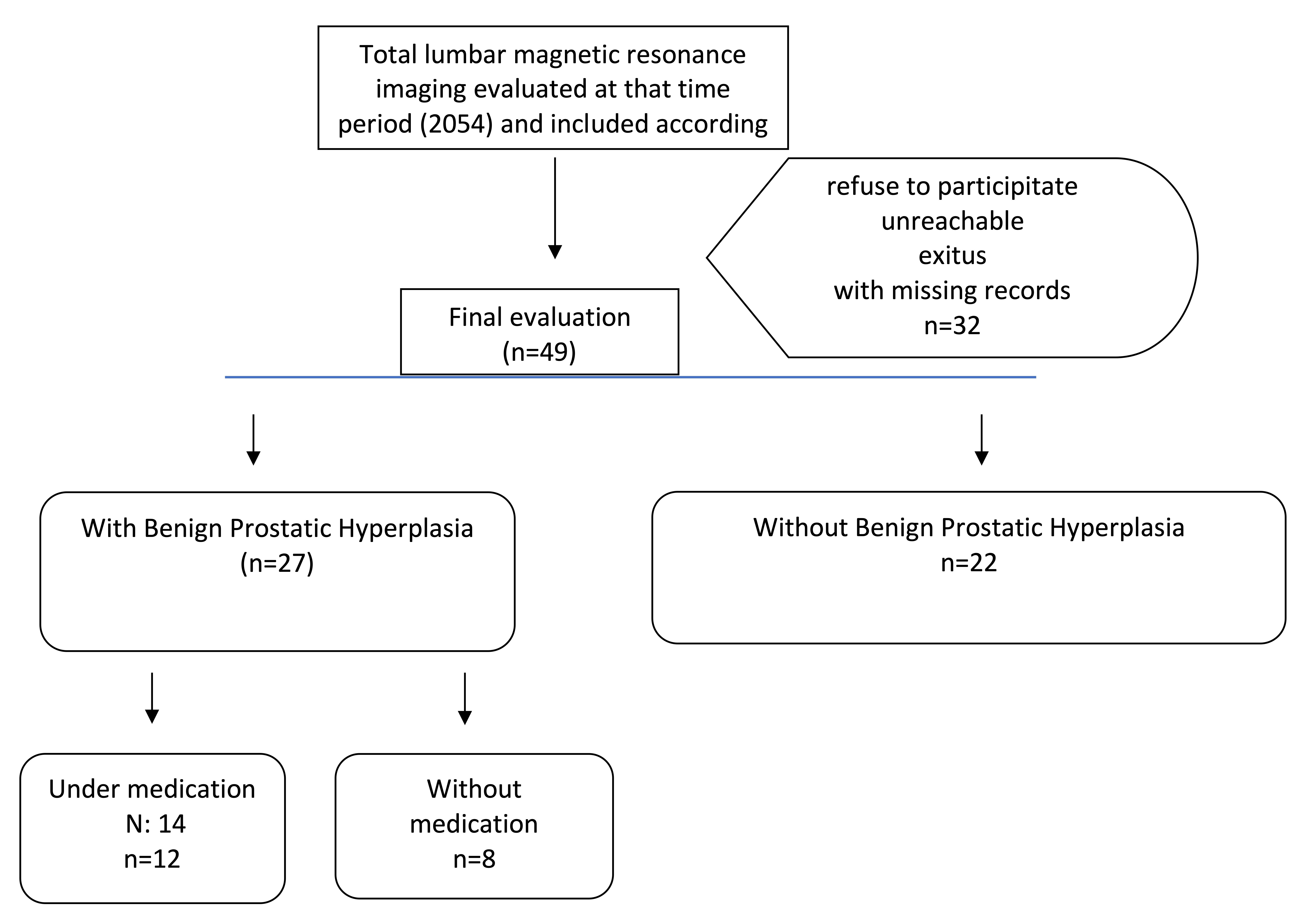 Flowchart of the study.