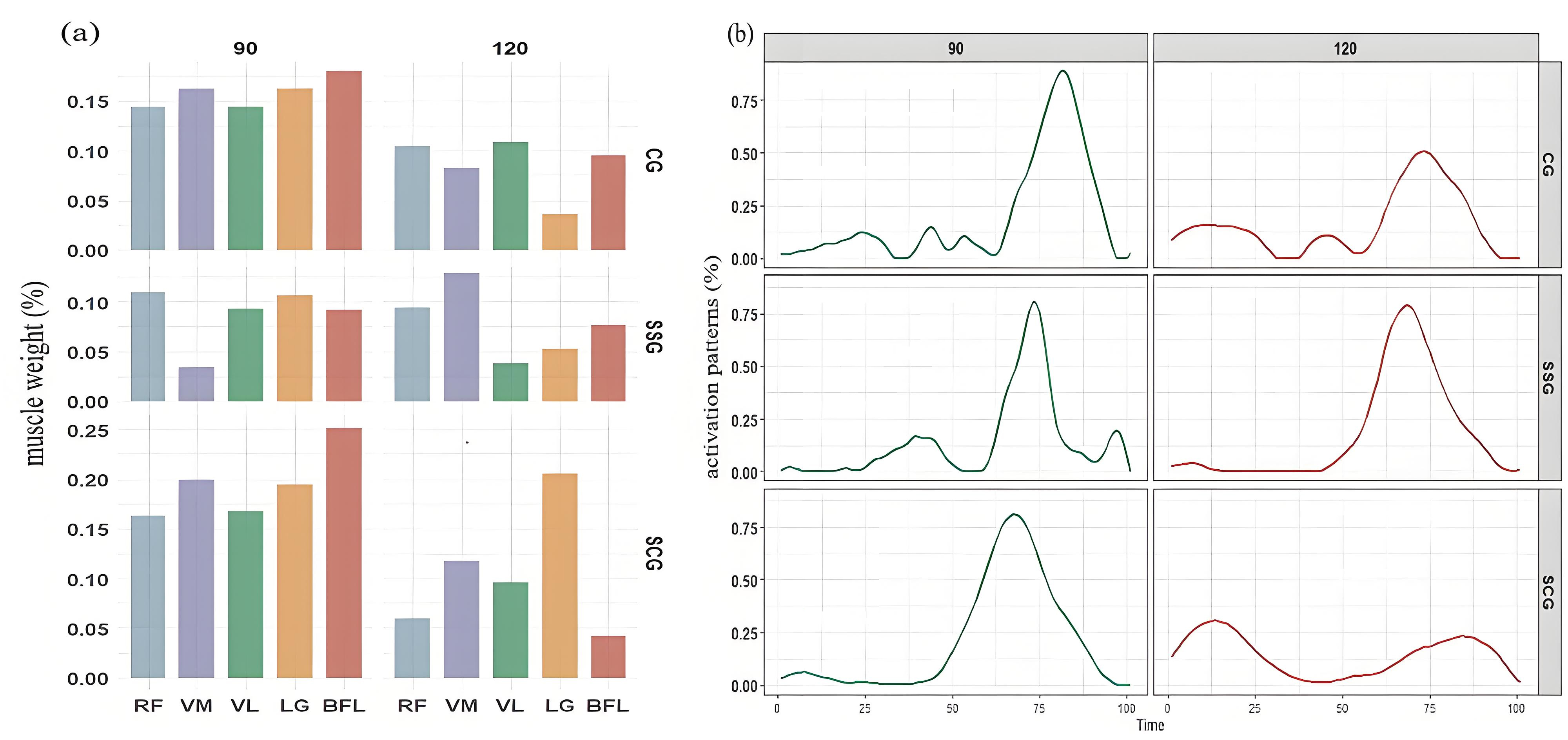 Muscle synergies extracted from different conditions. (a) The
weightings for muscles in muscle synergies (K-means clustering results). (b) The
time-course activation patterns of muscle synergies during a jump cycle. CG:
Control Group; SSG: Static Stretching Group; SCG: Static Stretching & Drop Jump
Combined Group; RF: rectus femoris; VM: vastus medialis; LG: lateral
gastrocnemius; BFL: long head of the biceps femoris; VL: vastus lateralis.