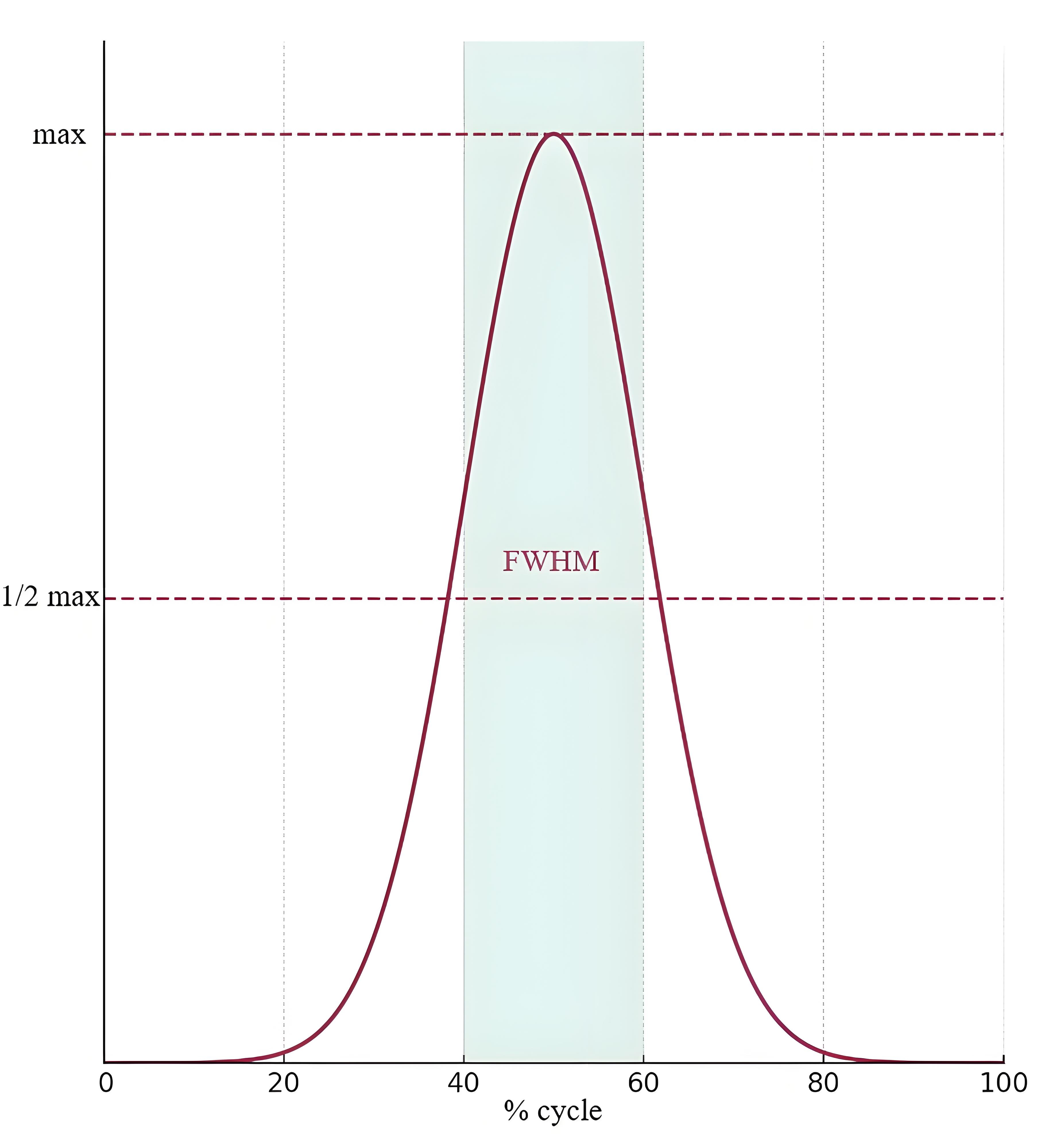 Full-width at half-maximum of peak muscle synergy activity.
Illustrative Diagram of FWHM in muscle synergy activity.