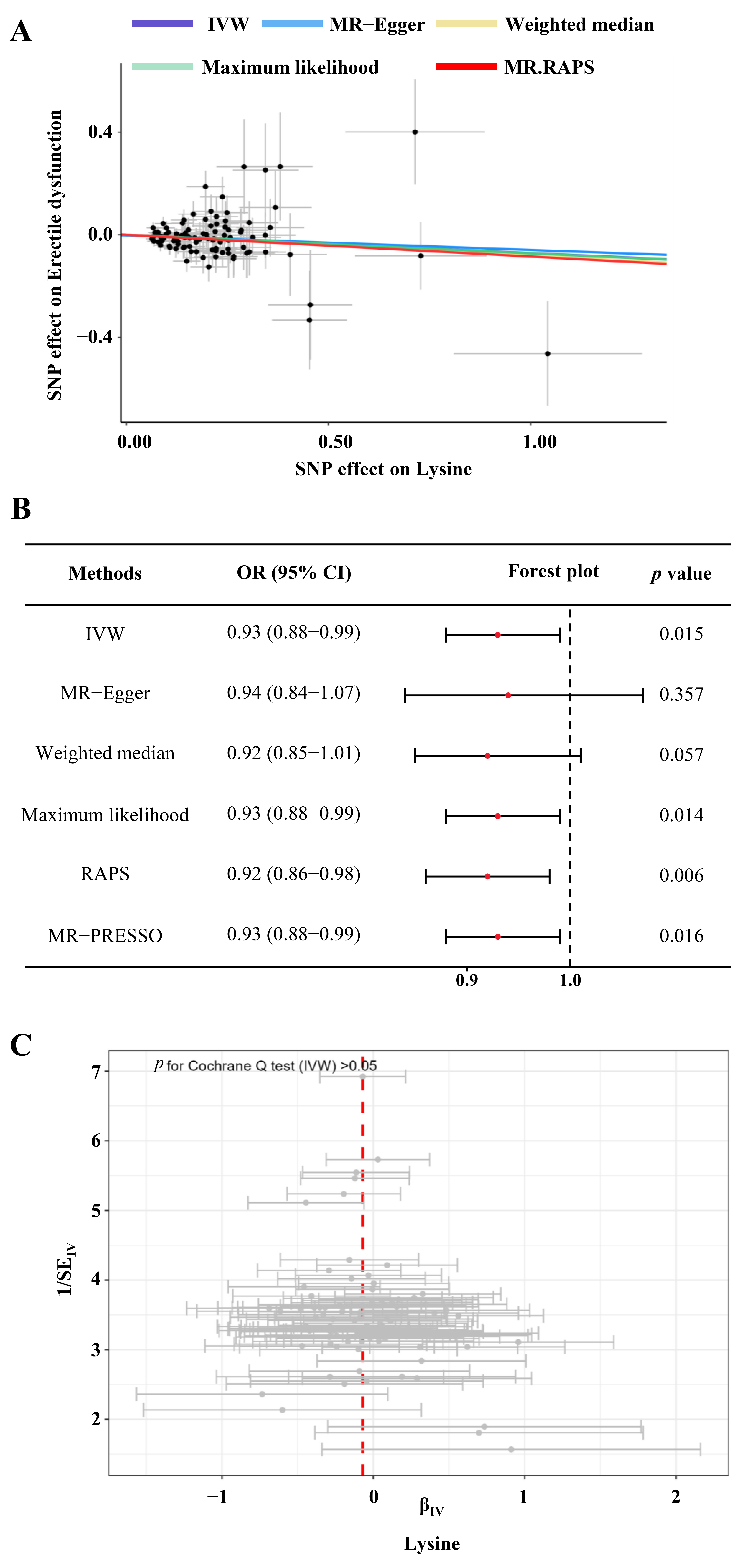 Causal estimates of genetically proxied lysine with erectile
dysfunction. (A) scatter plot visualizing the SNP effect on lysine and erectile
dysfunction, respectively; (B) forest plot showing the causal estimates between
genetically proxied lysine and erectile dysfunction; (C) funnel plot visualizing
the heterogeneity in the instrumental variables. IVW: inverse variance weighting;
IV: instrumental variable; MR: Mendelian randomization; RAPS: robust adjusted
profile score; SNP: single nucleotide polymorphisms; OR: odds ratio; CI:
confidence interval; SE: standard error.