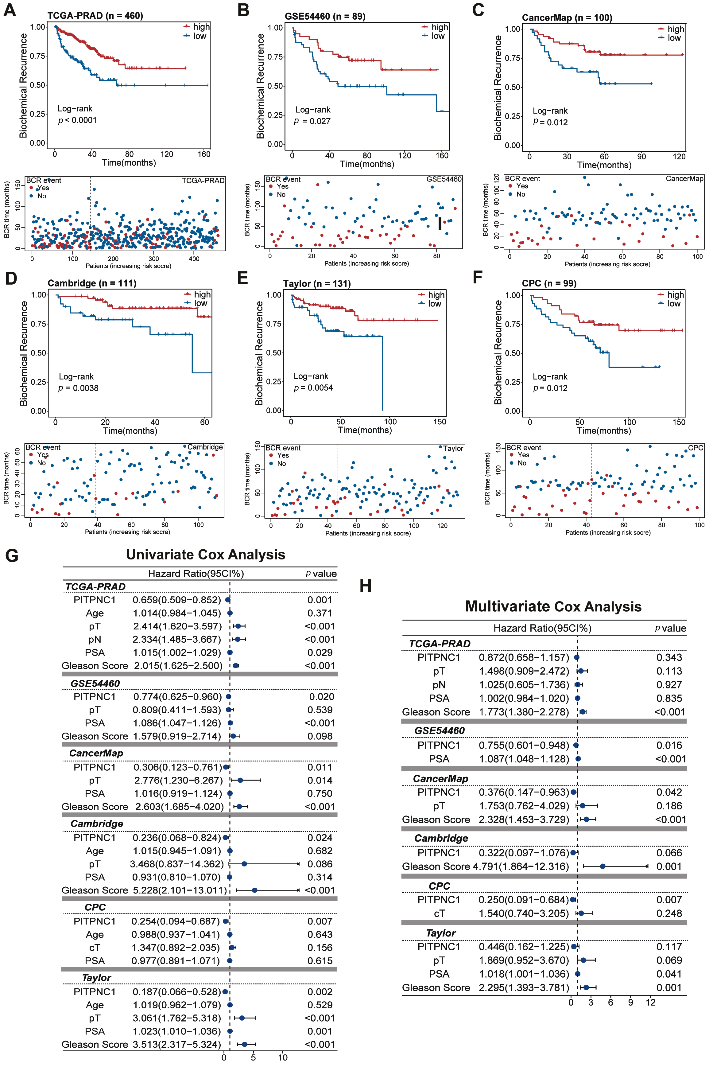 PITPNC1 serves as a biomarker for PCa 
prognosis. (A–F) Kaplan-Meier survival analyses for PITPNC1 across TCGA-ACC and 
GEO datasets. (G,H) Univariate and 0 multivariate cox regression. TCGA: The Cancer 
Genome Atlas Program; GSE: gene expression data series.