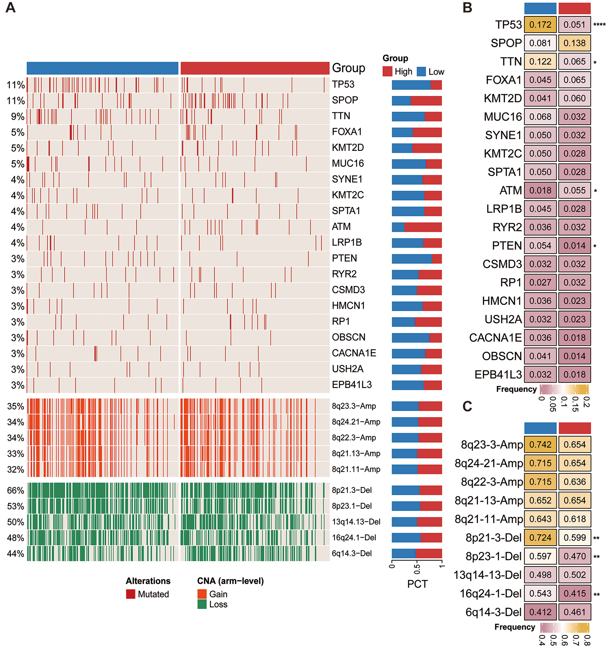 Mutation landscape. (A) Integrative 
landscape illustrating the relationship between PITPNC1 expression with gene 
mutation and CNA. (B,C) Statistical Analysis of PITPNC1 Expression in Relation to 
Gene Mutations and CNA Frequencies. *p < 0.05; **p < 0.01; 
****p < 0.0001. CAN: Copy Number Alteration.