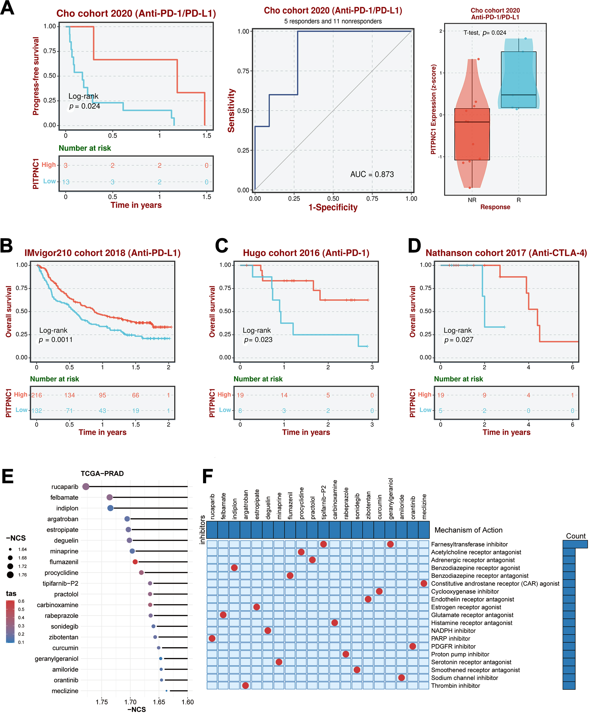 PITPNC1 and therapy response. (A–D) 
Survival analysis Prognosis across PITPNC1 expression within multiple 
immunotherapy cohorts. (E) Bubble plot representing the CMap analysis. (F) 
Drug-related signaling pathways derived from CMap analysis. CMap: Connectivity 
Map.