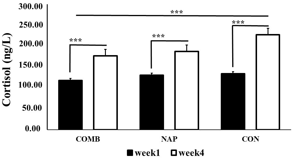 Cortisol changes through the experimental period COMB, NAP and
CON groups. Legends: COMB: combined recovery strategy group; NAP: 45-minute
napping group; CON: control group; ***: p < 0.001.