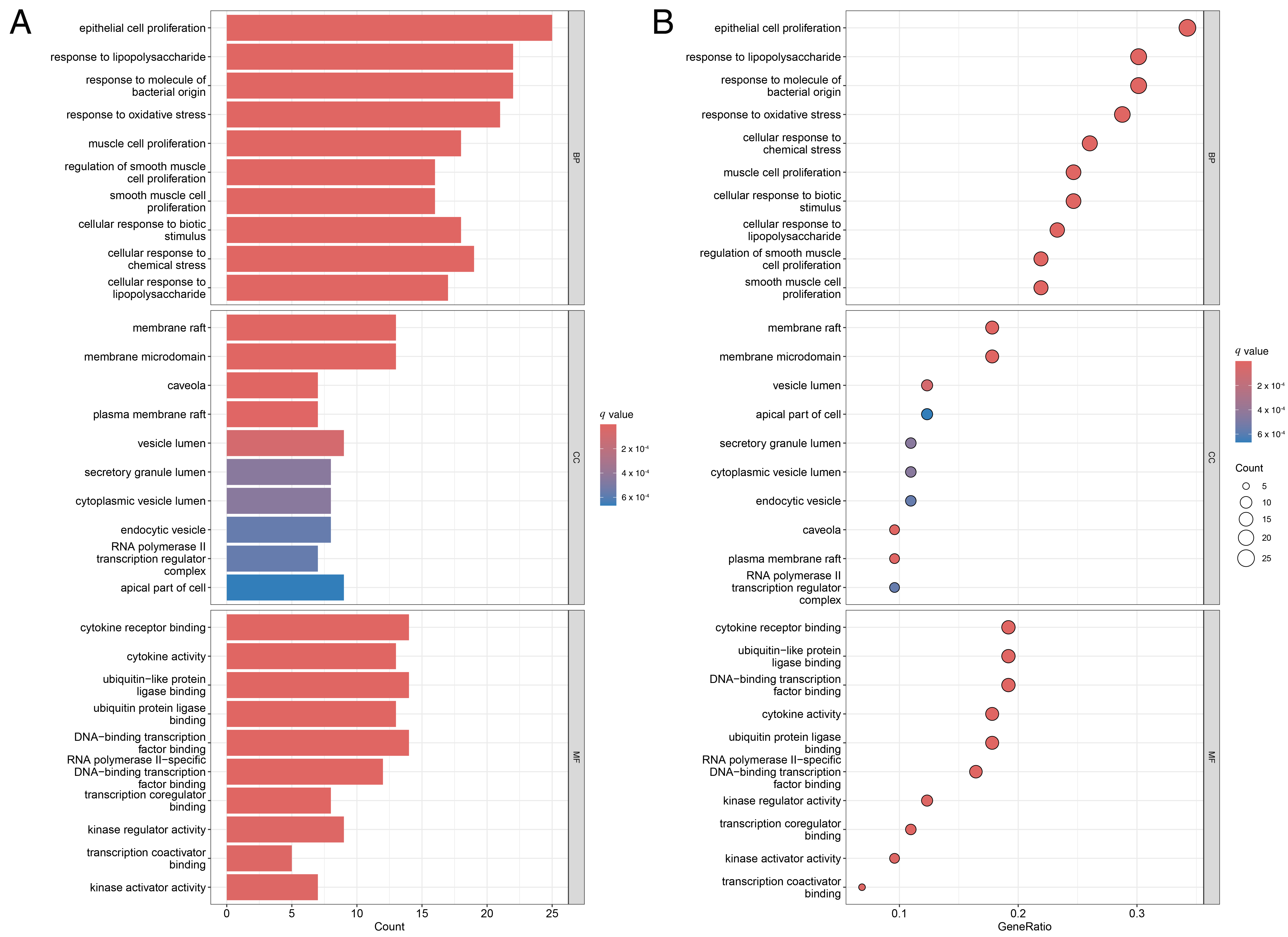 GO Function Enrichment Analysis. (A) GO
Function Enrichment Analysis Bar Chart; (B) GO Function Enrichment Analysis
Bubble Chart. BP: Biological Process; CC: Cellular Component; MF: Molecular
Function.