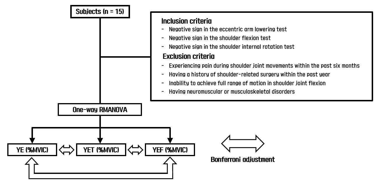 Flow chart. %MVIC, percentage maximal voluntary isometric
contraction; YE, Y-raise exercise; YET, Y-raise exercise on togu jumper; YEF,
Y-raise exercise on foam roller; RMANOVA, Repeated measured analysis of variance.