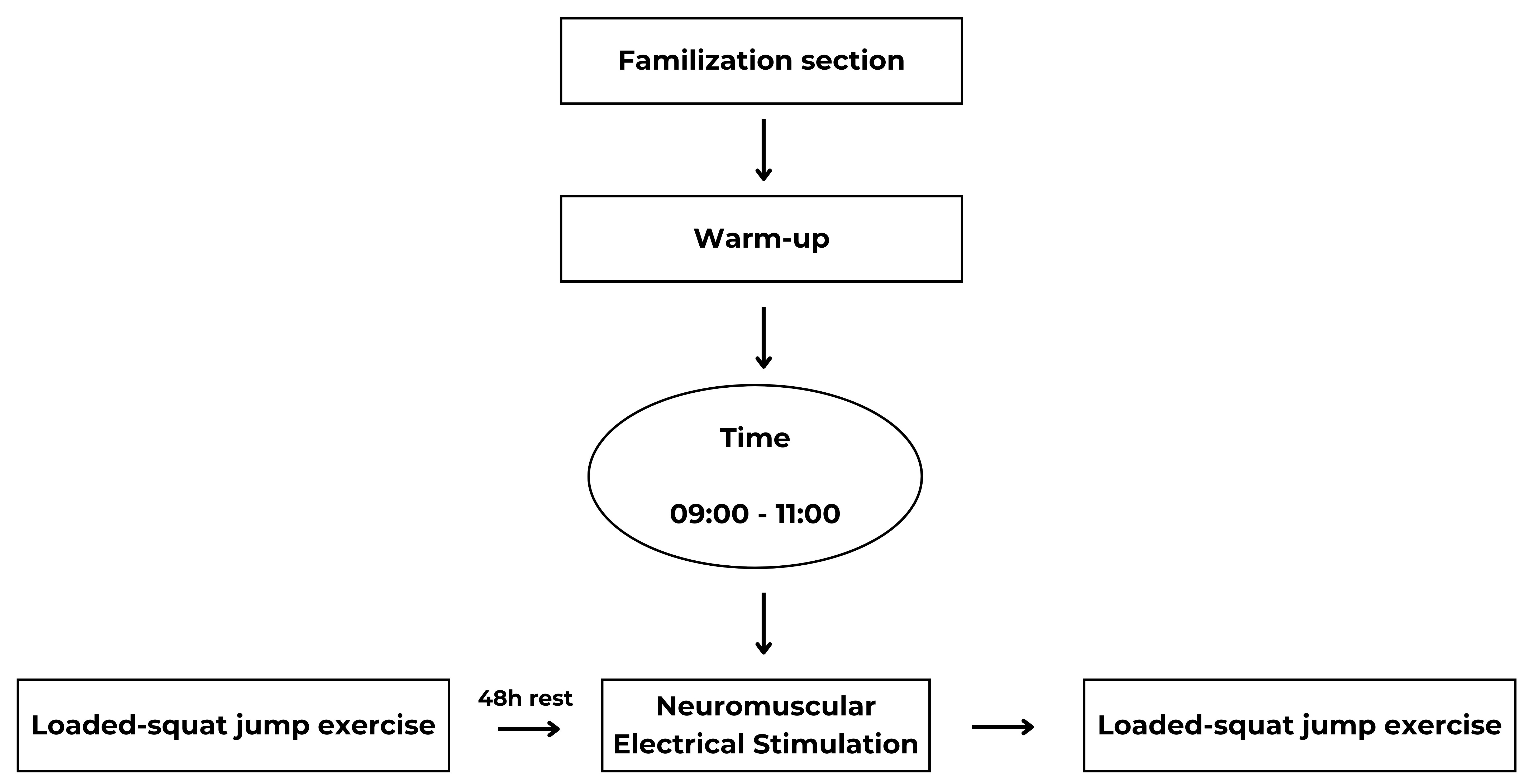 Experimental design of the study.