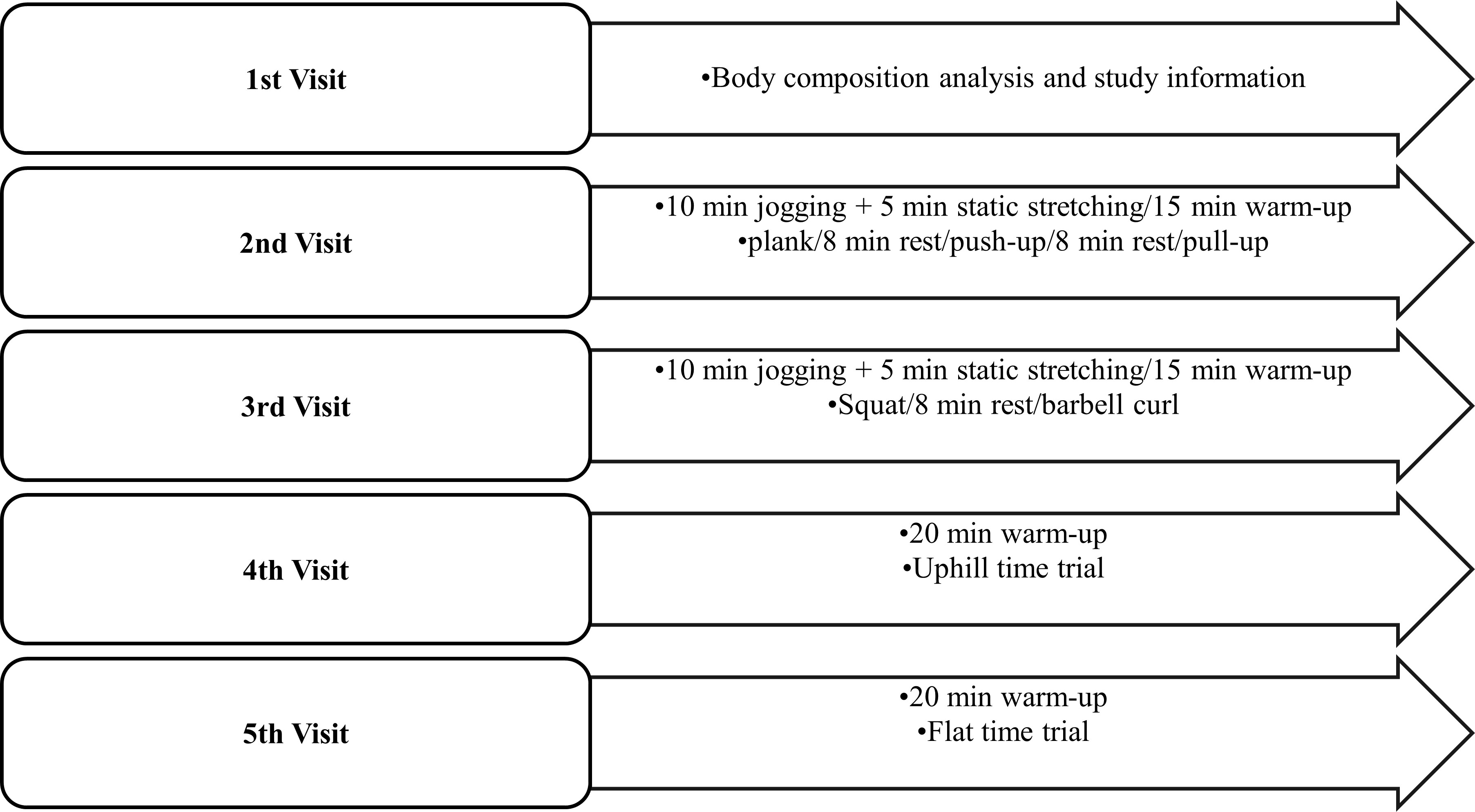 Study design and protocol process.