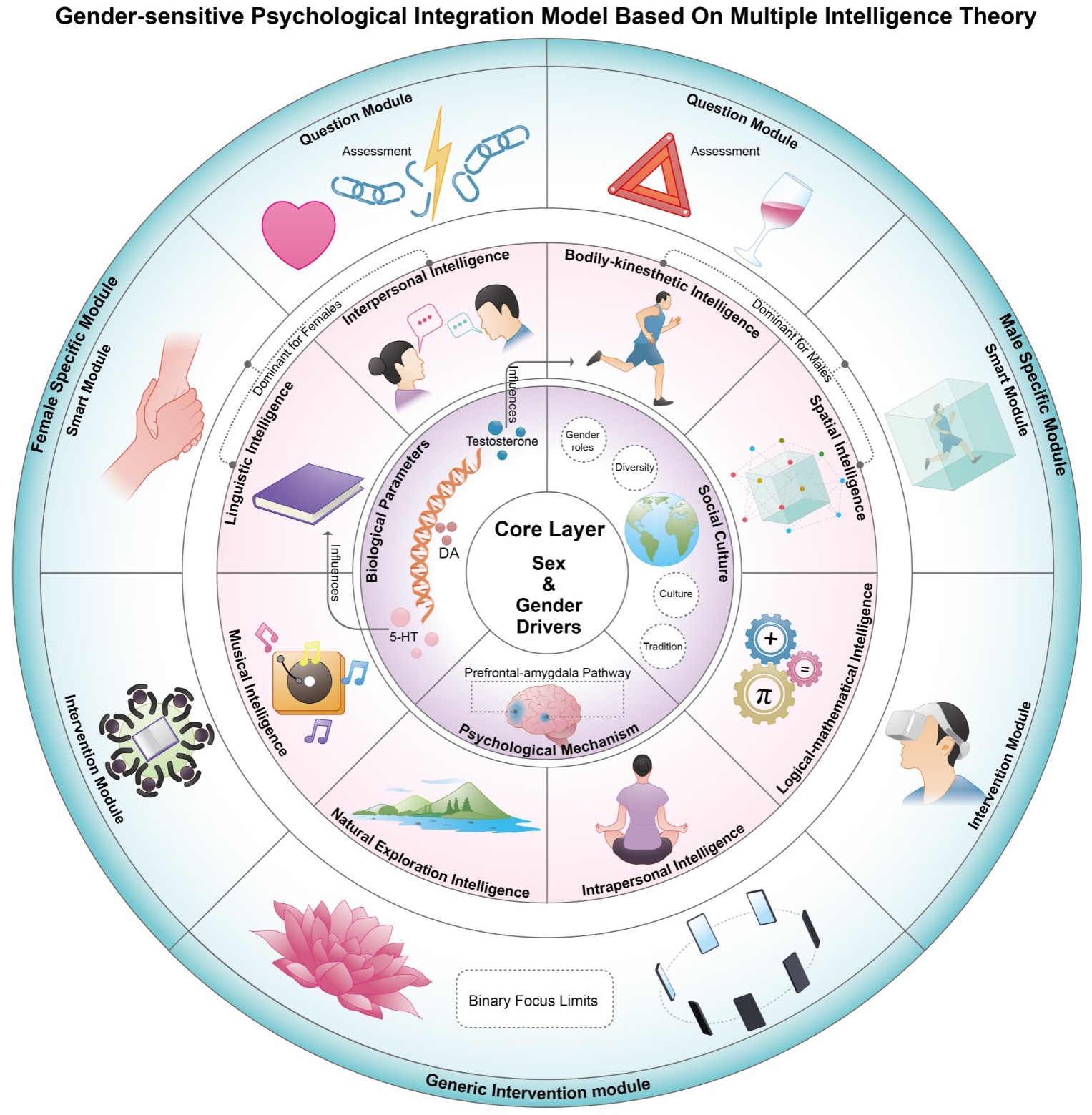 Gender-sensitive 
psychological integration model based on the multiple intelligence theory.