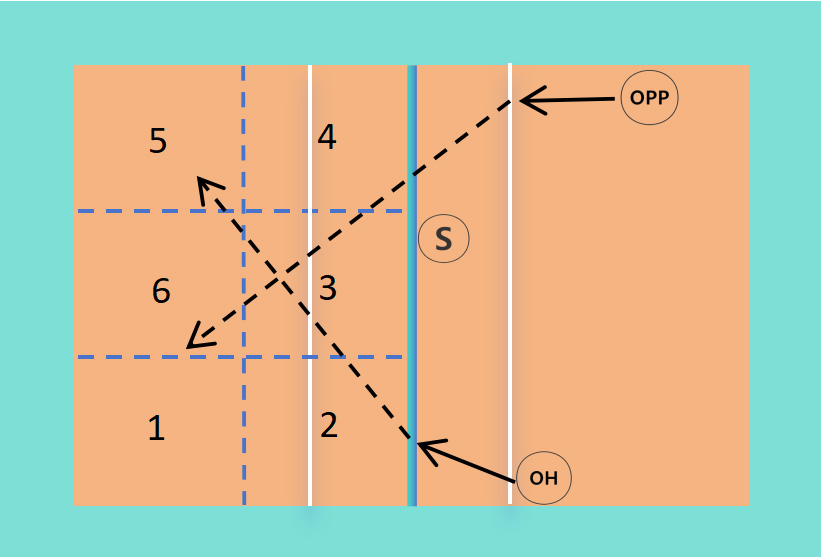 Effective attack zone. S: Setter position; OH: Outside hitter 
position; OPP: Opposite hitter position; Solid arrow: Approach direction; 
Dashed arrow: Spike trajectory.