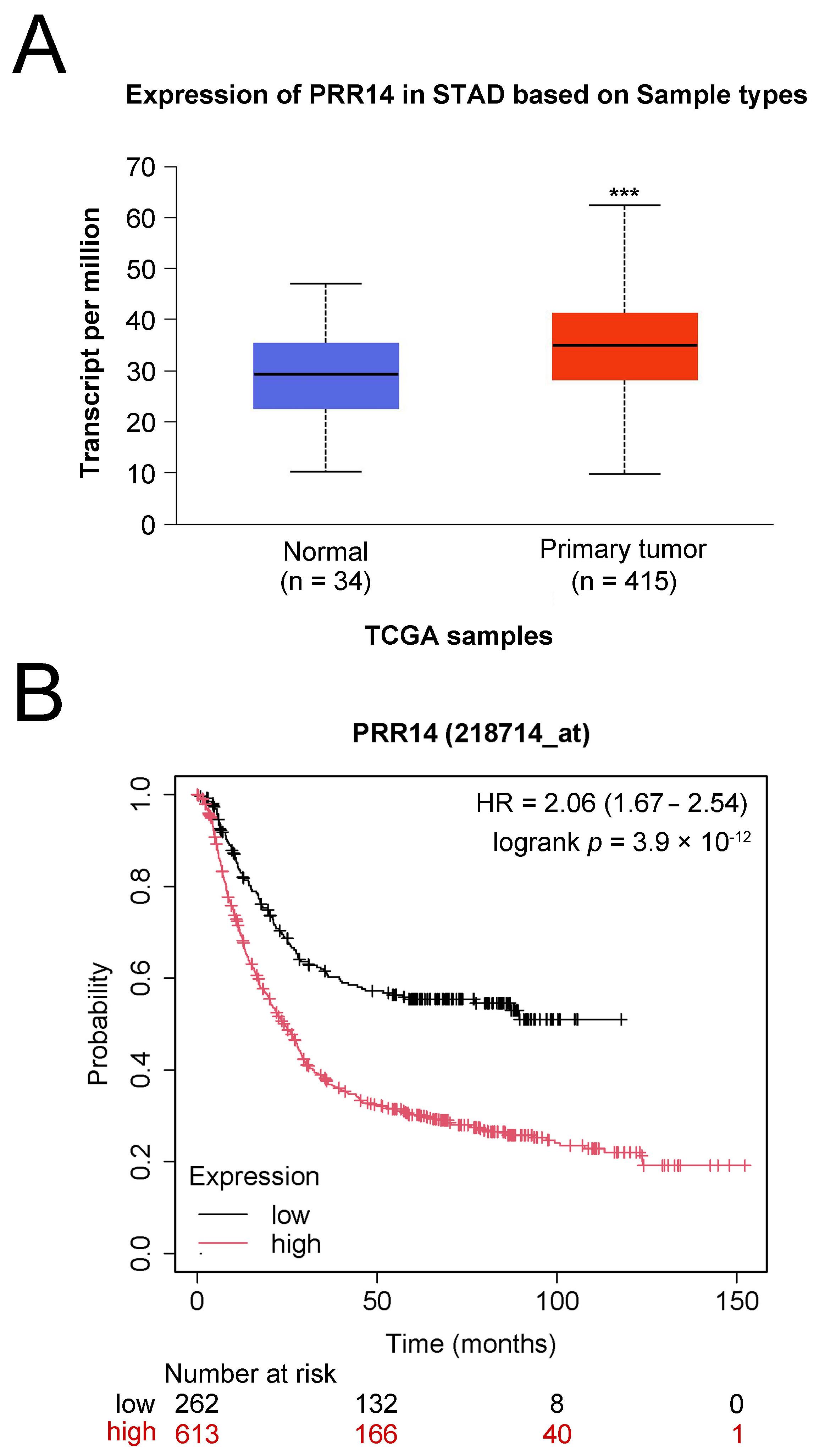 PRR14 is highly expressed in gastric cancer. (A) Query the
expression of PRR14 in gastric cancer using the UALCAN database. (B) The
Kaplan-Meier Plotter database shows PRR14 expression’s effect on patients’
overall survival with gastric cancer. vs. Normal, ***:
p < 0.001. PRR14: proline-rich protein 14; TCGA: The Cancer Genome
Atlas; STAD: stomach adenocarcinoma; HR:
hazard ratio.