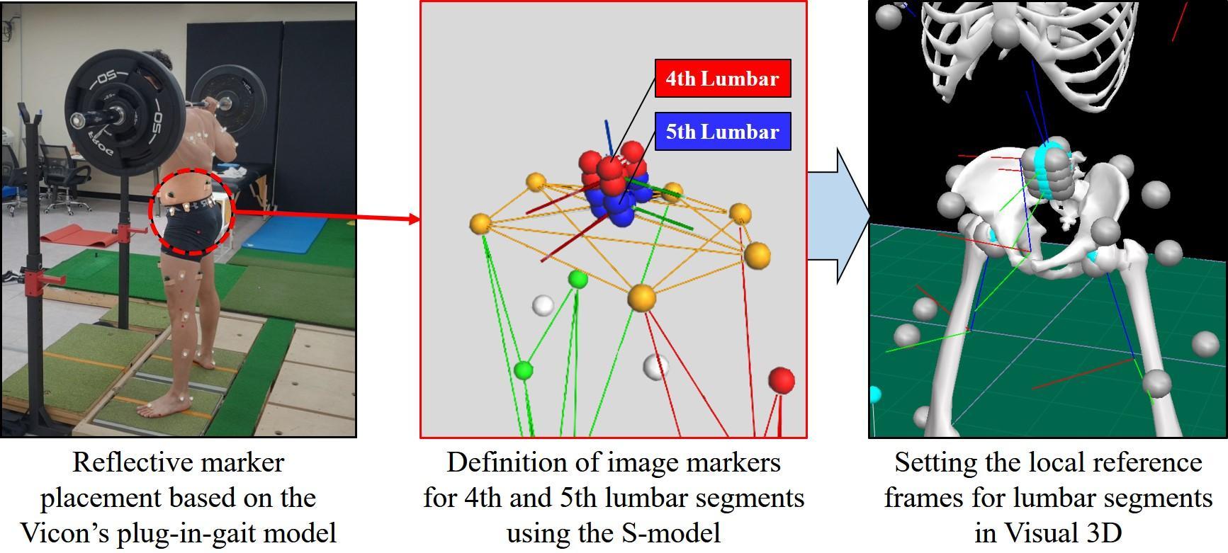 Visualization of lumbar marker estimation via S-Model.