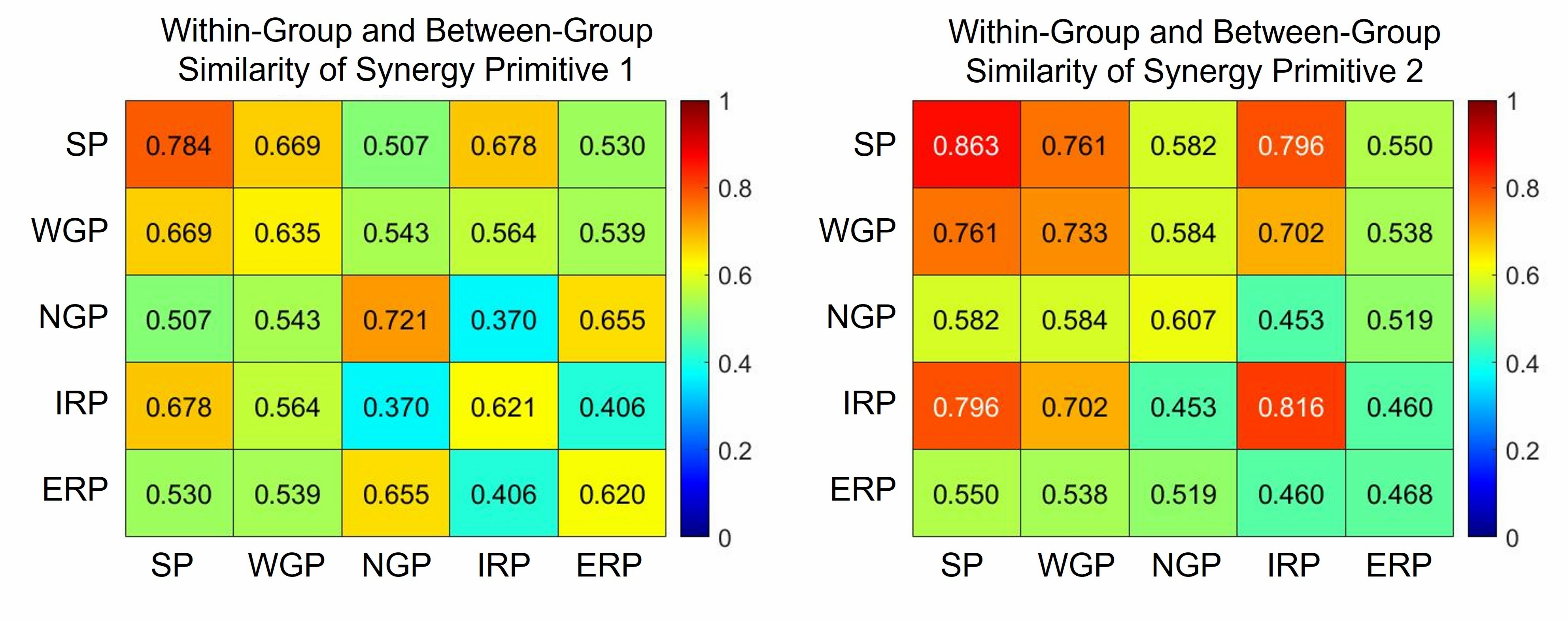 Within-group and between-group similarity of synergy primitives 
of the 13 participants from 5 push-ups. SP: standard push-up; WGP: widely grip 
push-up; NGP: narrow grip push-up; IRP: internally rotated push-up; ERP: 
externally rotated push-up.