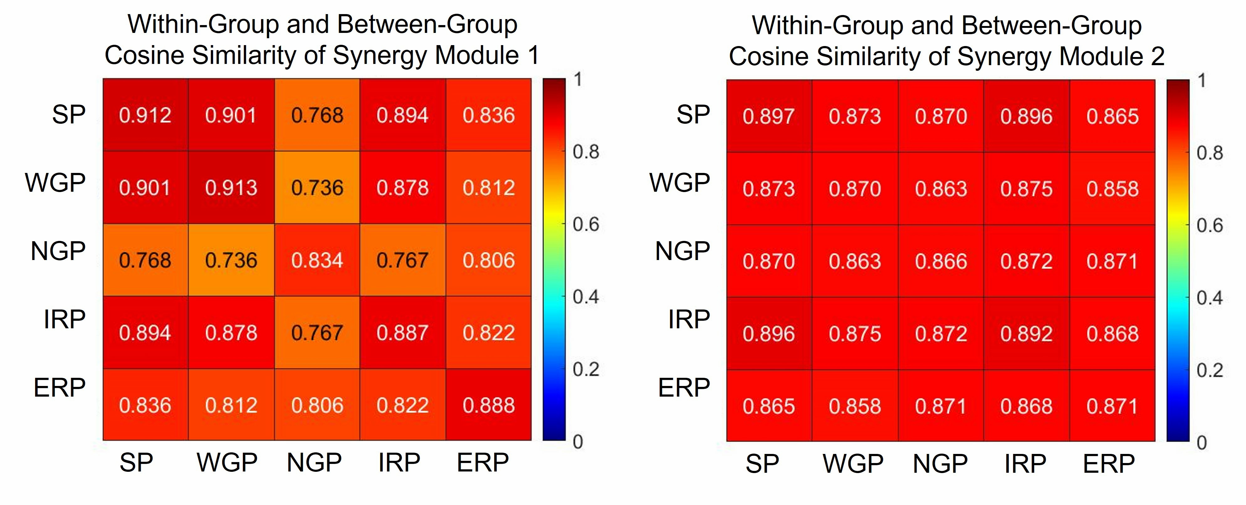 Within-group and between-group cosine similarity of synergy 
primitives of the 13 participants from 5 push-ups. SP: standard push-up; WGP: 
widely grip push-up; NGP: narrow grip push-up; IRP: internally rotated push-up; 
ERP: externally rotated push-up.