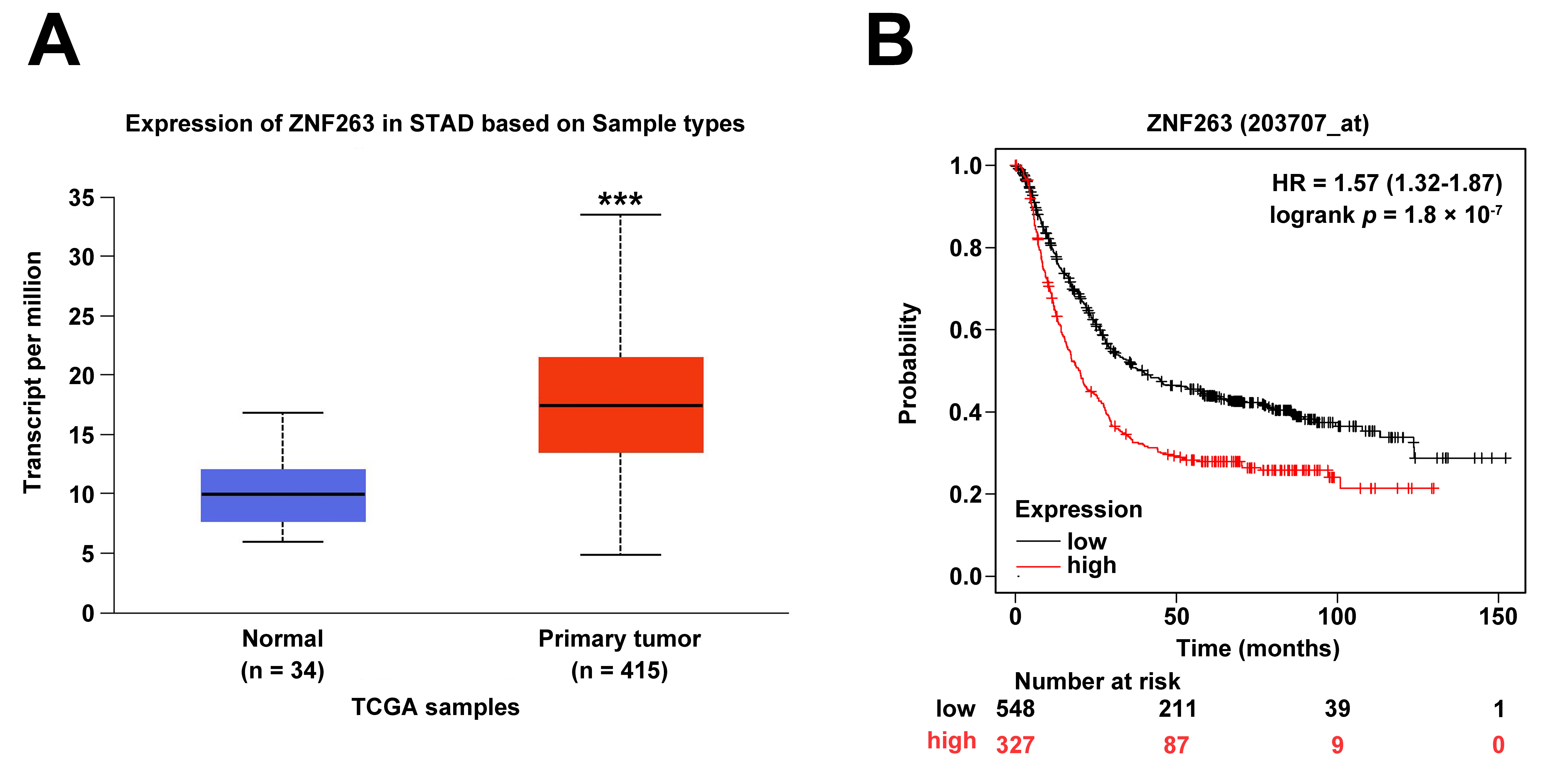 ZNF263 is highly expressed in GC. (A) UALCAN database query 
ZNF263 expression in GC patient tissues. (B) The influence of ZNF263 expression 
on GC patient survival rate as determined by a Kaplan Meier Plotter database 
query. ***p < 0.001. ZNF: Zinc finger protein; 
TCGA: The Cancer Genome 
Atlas; STAD: Stomach Adenocarcinoma; HR: 
Hazard Ratio.