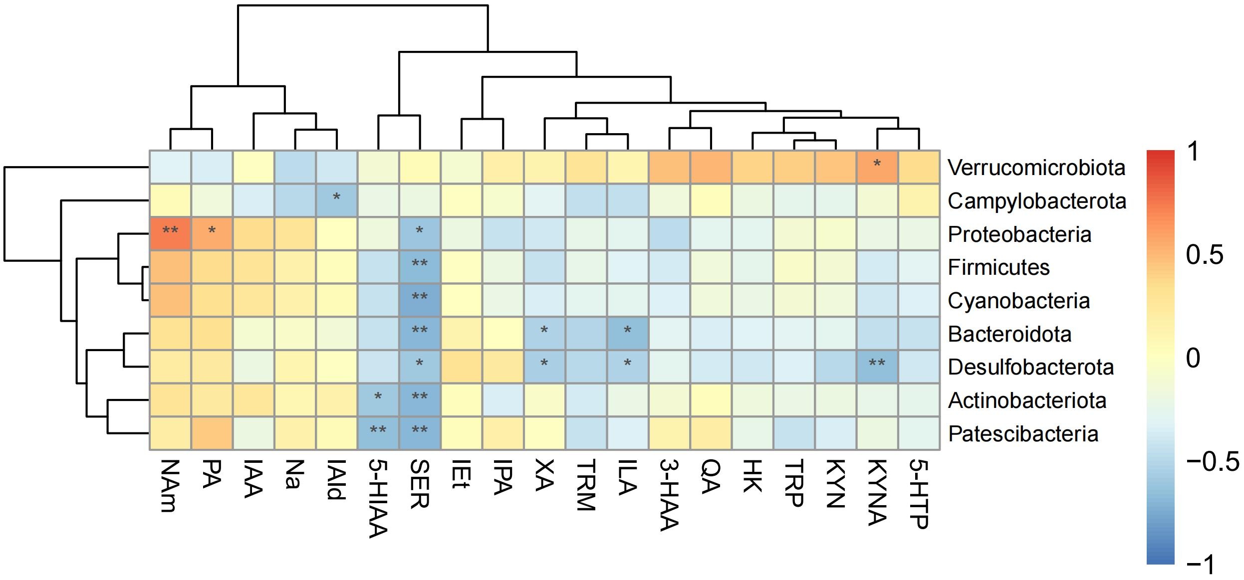 Phylum-level microbial correlations with targeted metabolites.
Darker blue color indicates stronger negative correlation and darker orange
color indicates stronger positive correlation. *On the box indicates
significance p < 0.05 and **indicates significance p
< 0.01. 5-HTP, 5-Hydroxytryptophan; KYNA, Kynurenic acid; KYN, Kynurenine; TRP,
Tryptophan; HK, Hydroxykynurenine; QA, Quinolinic acid; 3-HAA,
3-Hydroxyanthranilic acid; ILA, Indolelactic acid; TRM, Tryptamine; XA,
Xanthurenic acid; IPA, Indole-3-propionic acid; IEt, Indole-3-ethanol; SER,
Serotonin; 5-HIAA, 5-Hydroxyindoleacetic acid; IAId, Indole-3-aldehyde; Na,
Nicotinic acid; LAA, L-Alanyl-Alanine; PA, Picolinic acid; NAm, Nicotinamide.