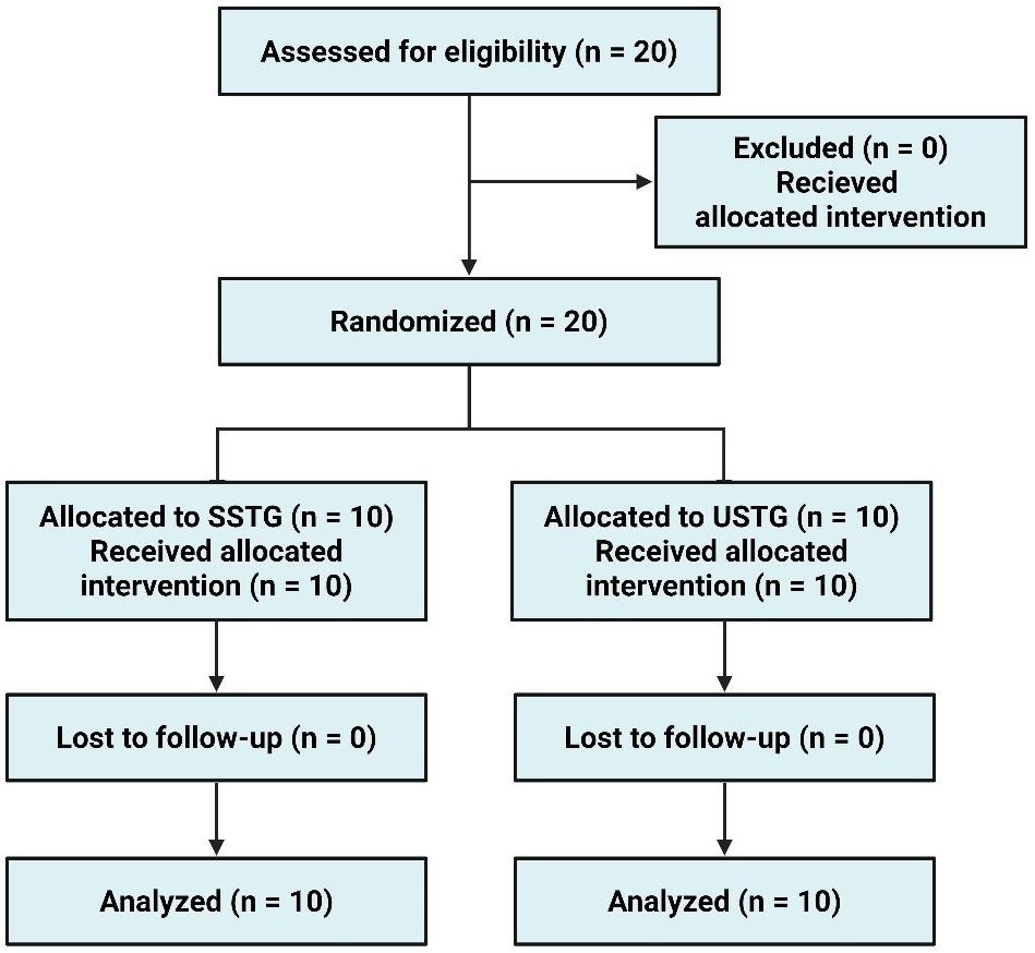 Flowchart of participant recruitment, randomization,
intervention, and outcome analysis. SSTG: stable surface training group; USTG:
unstable surface training group.